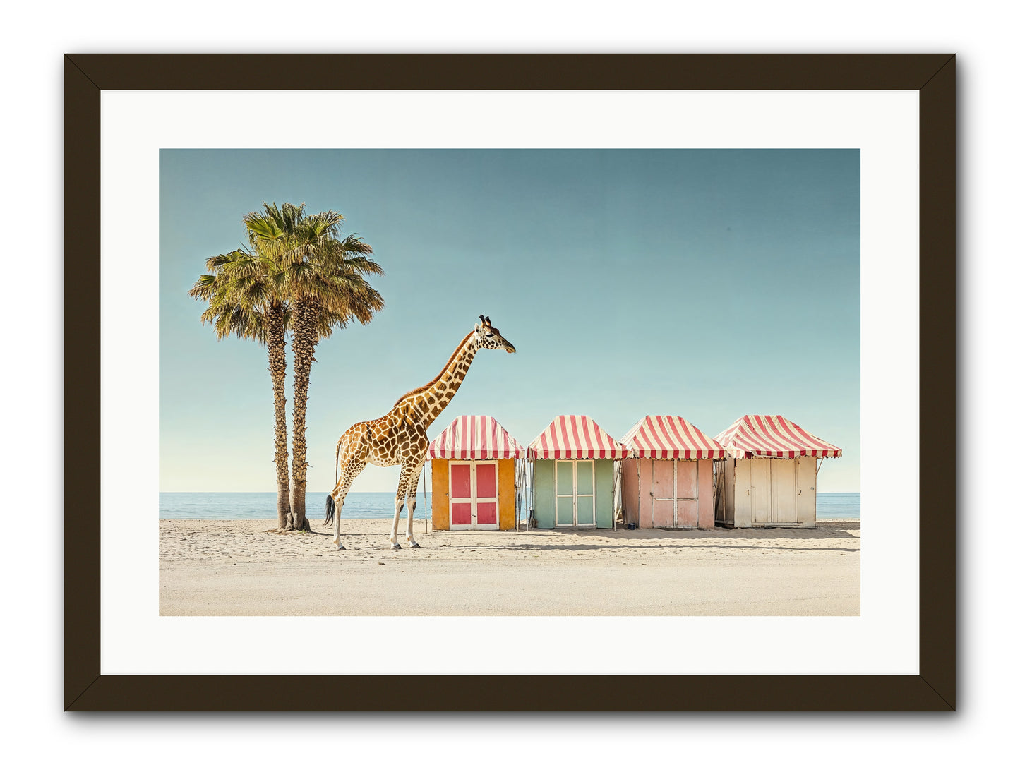 Serendipitous Travels -- Framed Print - Black 24x16