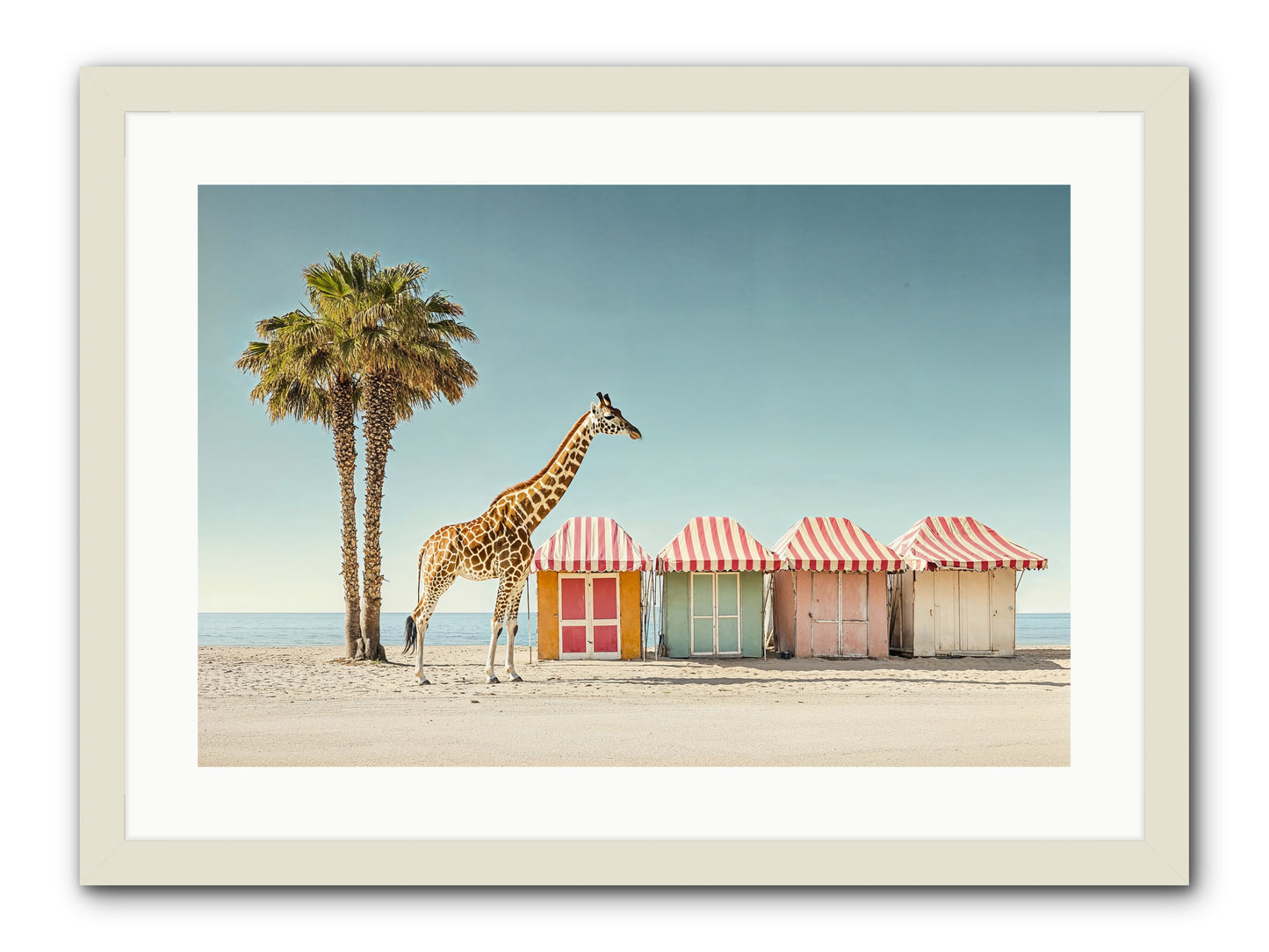 Serendipitous Travels -- Framed Print - White 24x16