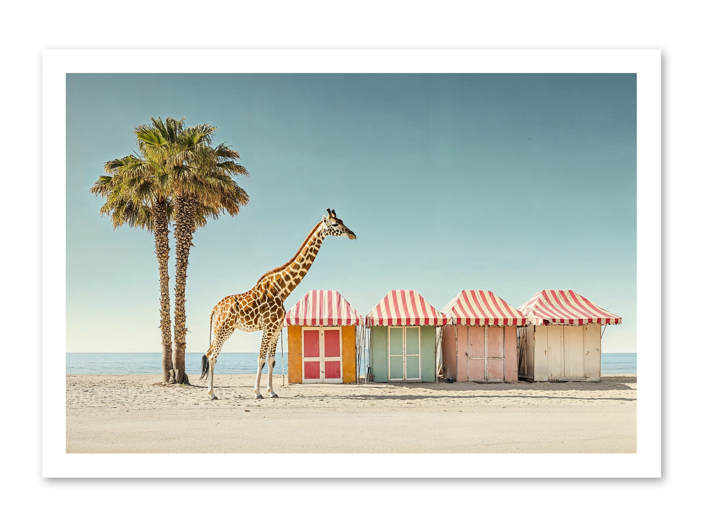Serendipitous Travels -- Paper Print 24x16