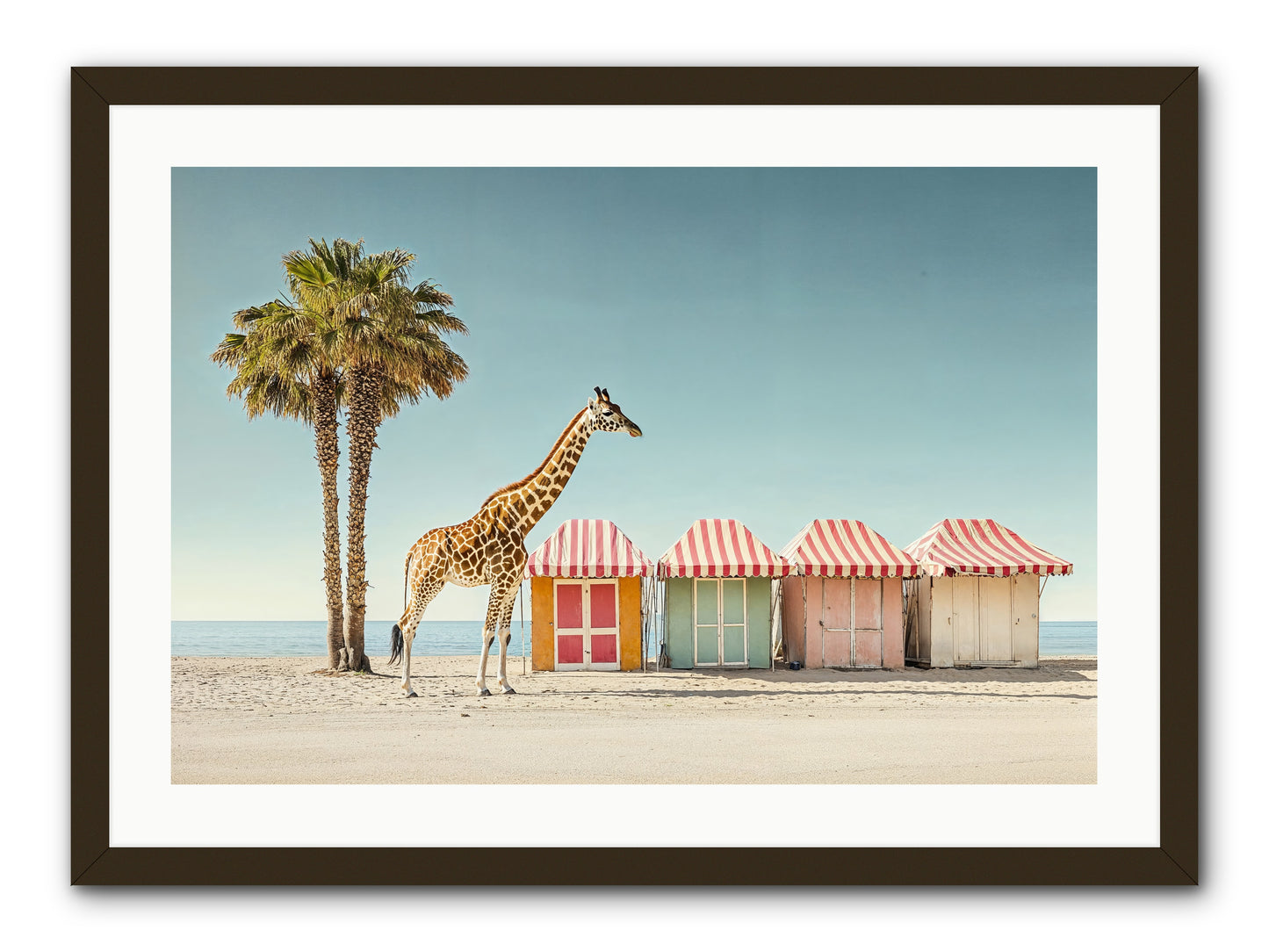 Serendipitous Travels -- Framed Print - Black 30x20