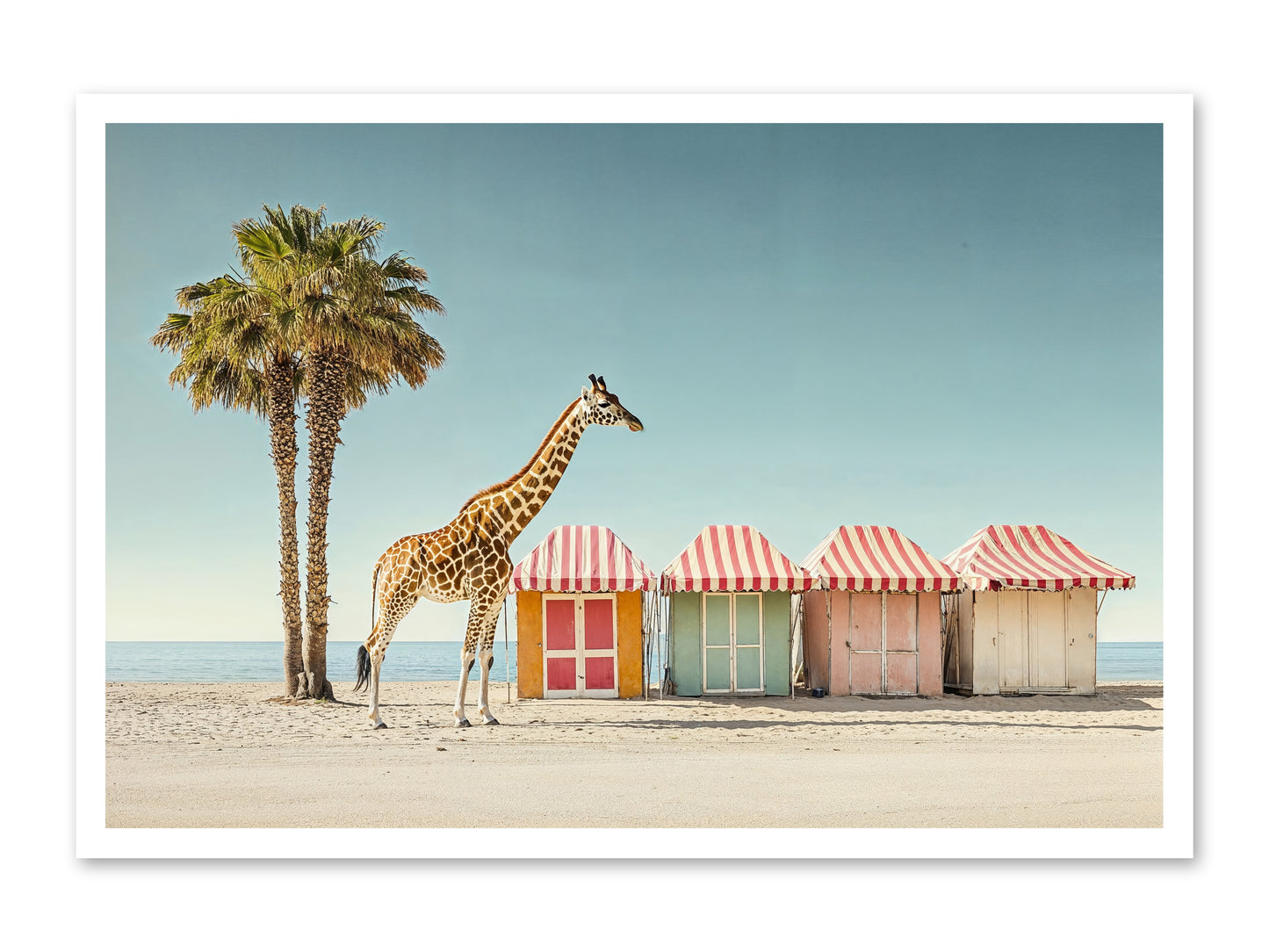 Serendipitous Travels -- Loose Canvas Print 36x24