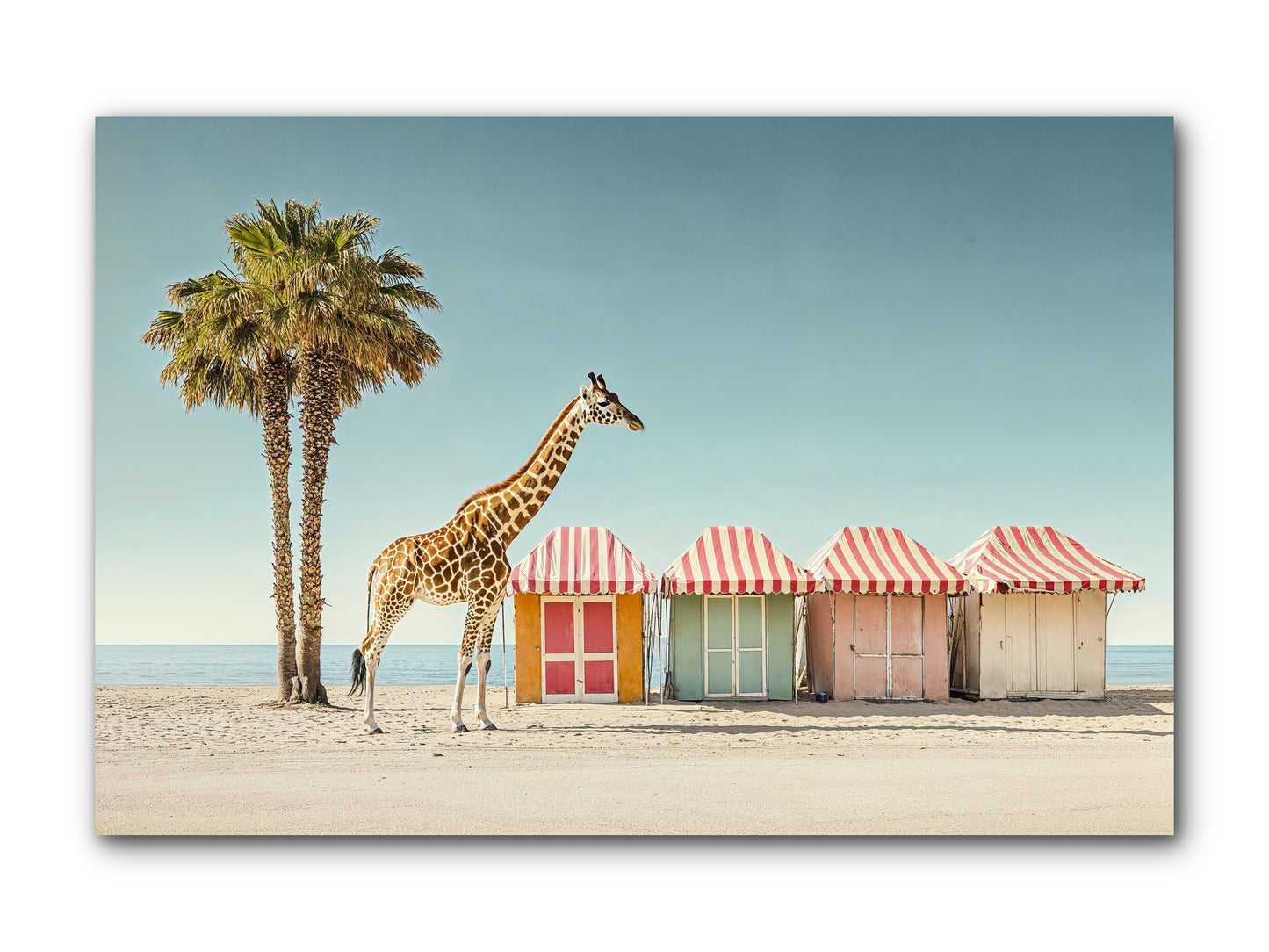 Serendipitous Travels -- Wrapped Canvas 12x8