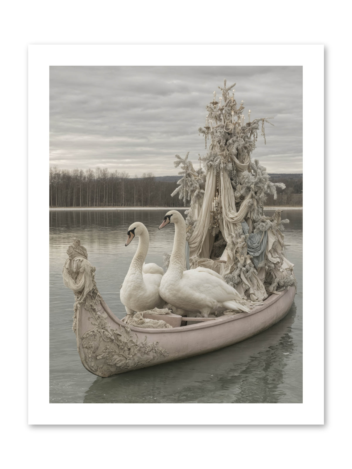 Silver Morning Glide -- Paper Print 12x16