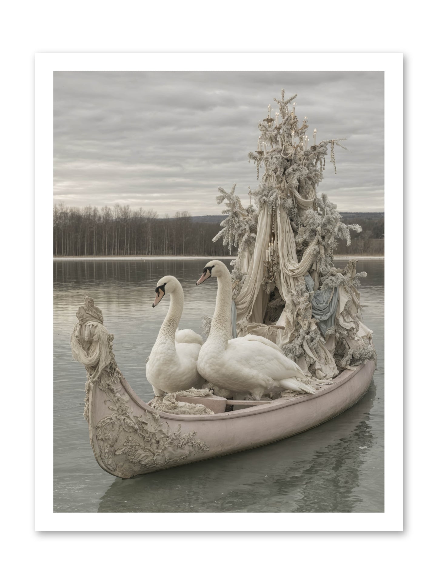 Silver Morning Glide -- Paper Print 18x24
