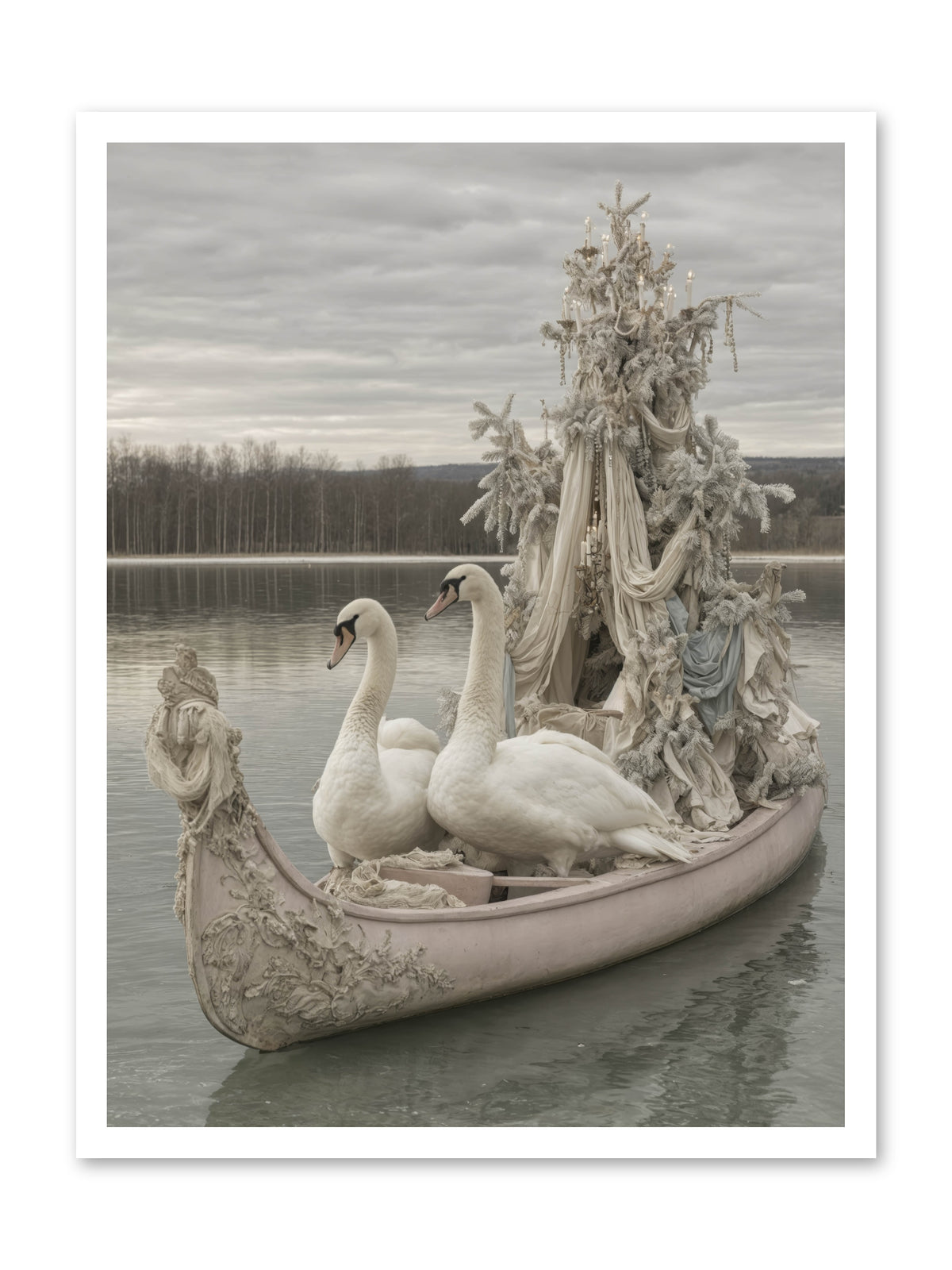 Silver Morning Glide -- Paper Print 24x32
