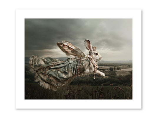 Skywritten Days No.1 -- Paper Print 12x9
