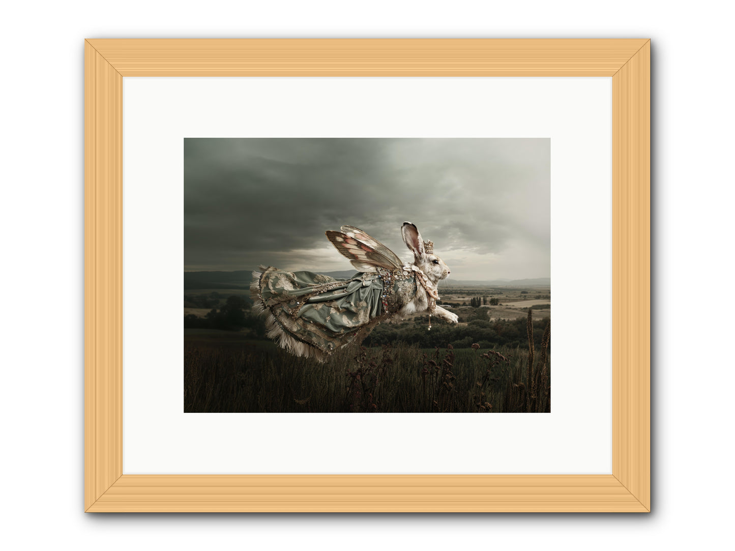 Skywritten Days No.2 -- Framed Print - Natural 12x9