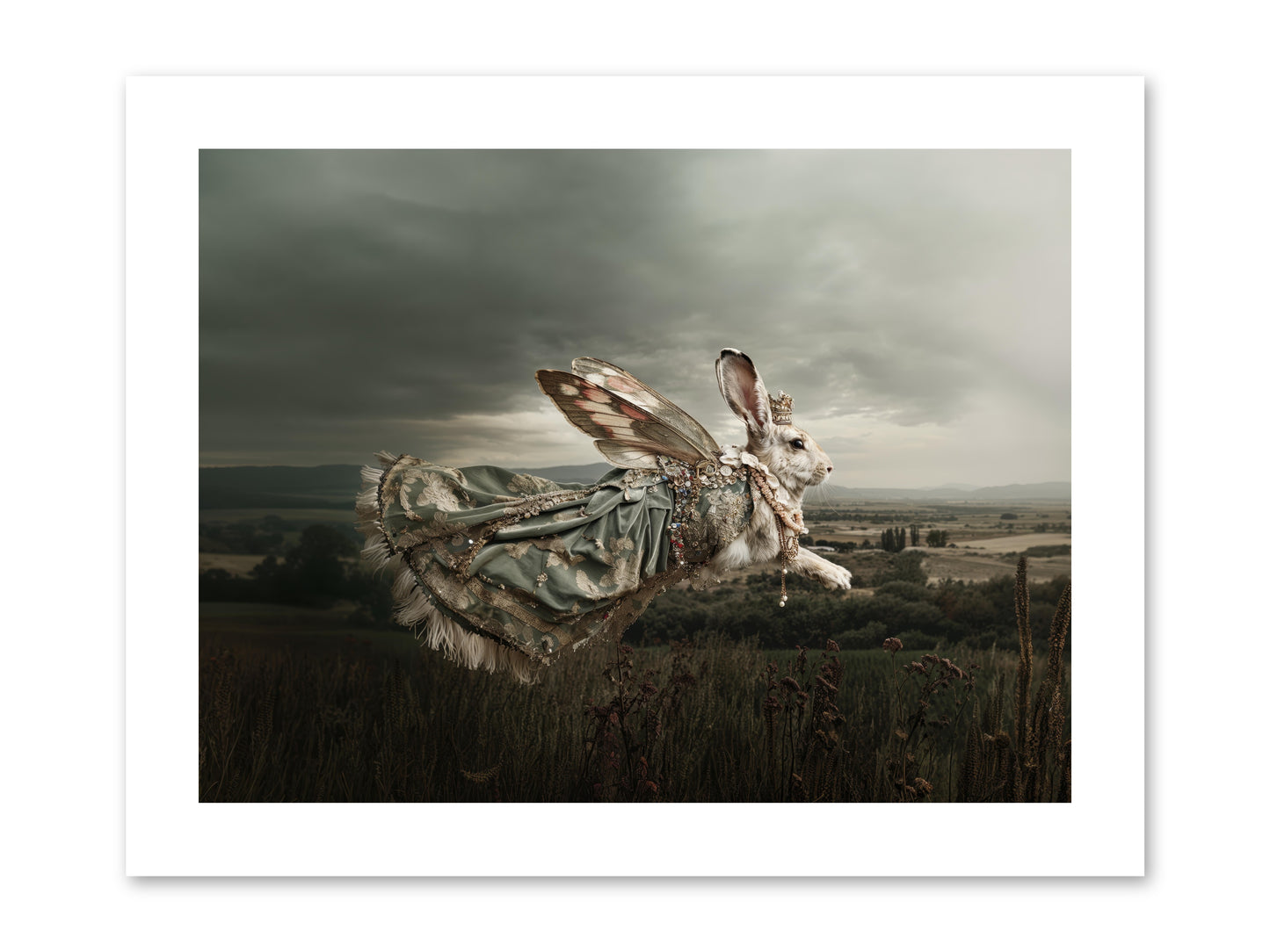 Skywritten Days No.2 -- Paper Print 12x9