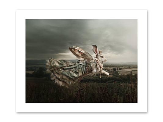 Skywritten Days No.2 -- Paper Print 12x9