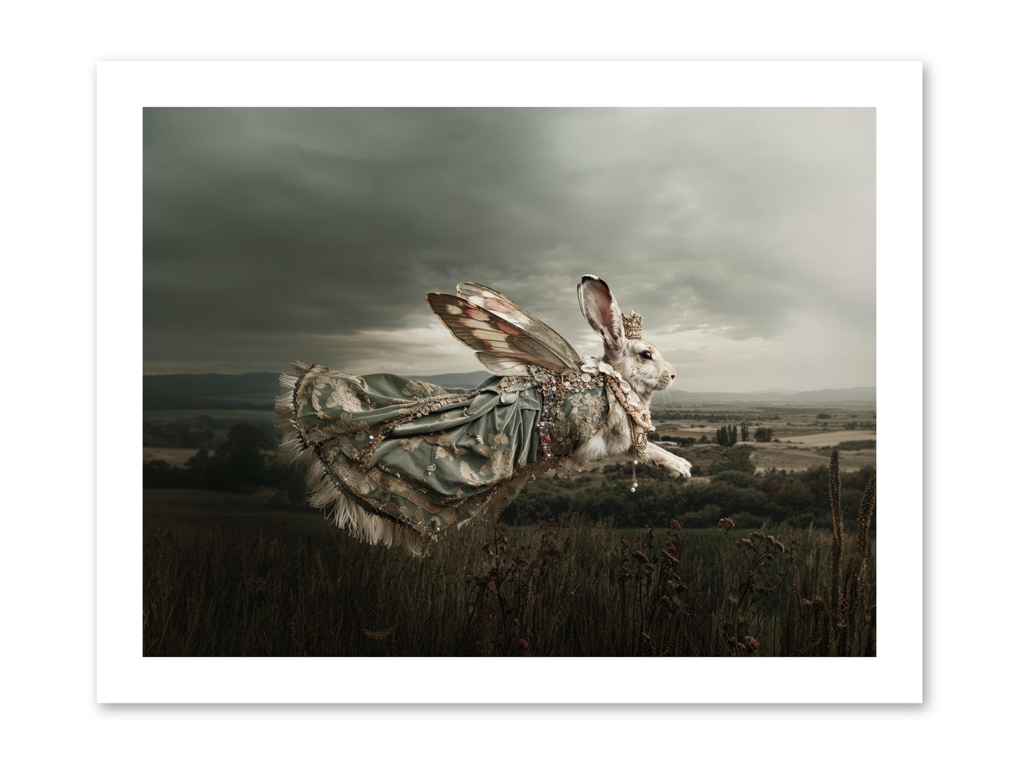 Skywritten Days No.2 -- Loose Canvas Print 16x12