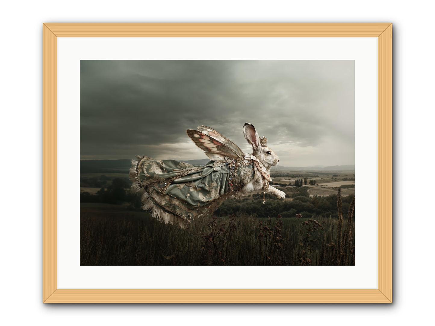 Skywritten Days No.2 -- Framed Print - Natural 24x18