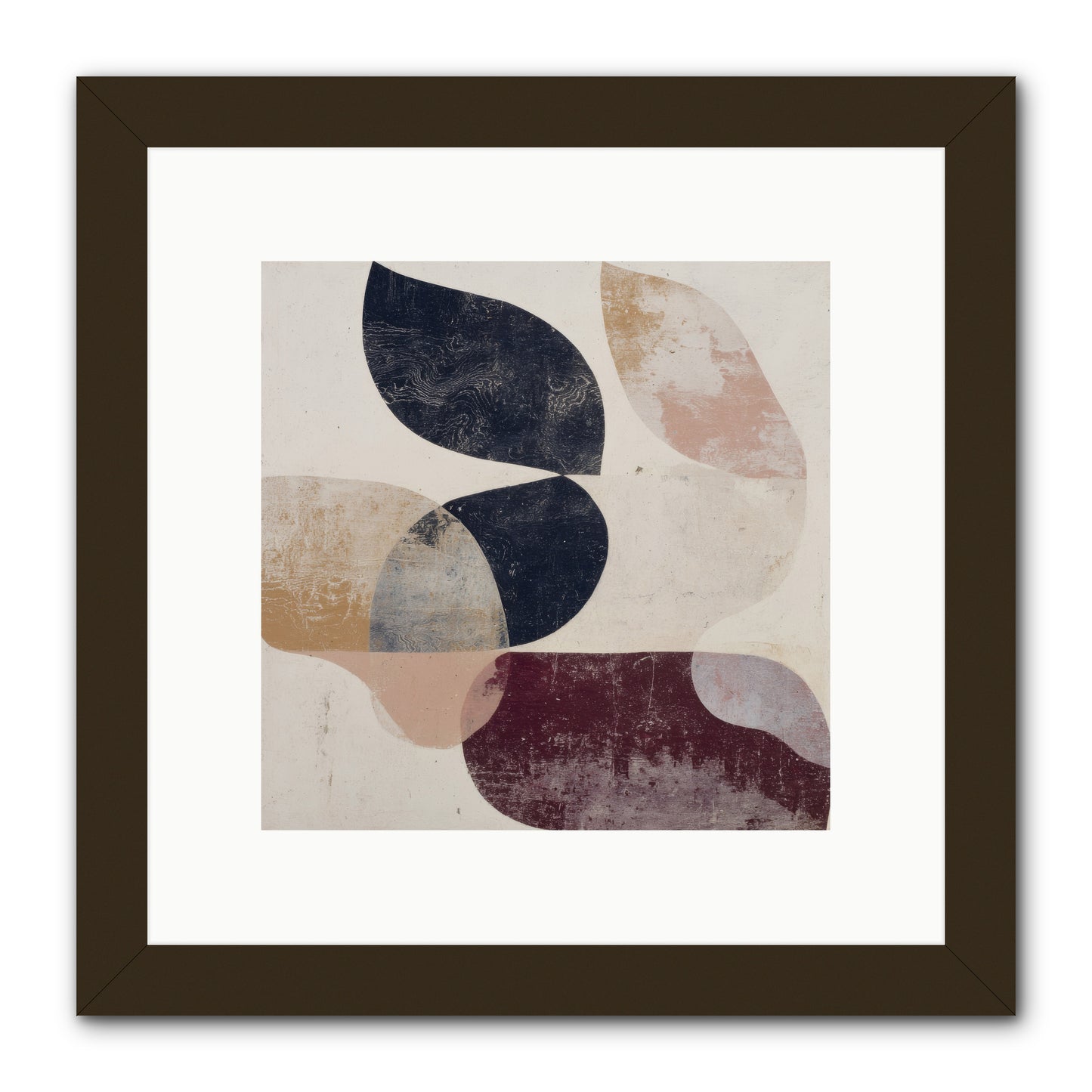 Solar Fringe no.1 -- Framed Print - Black 10x10