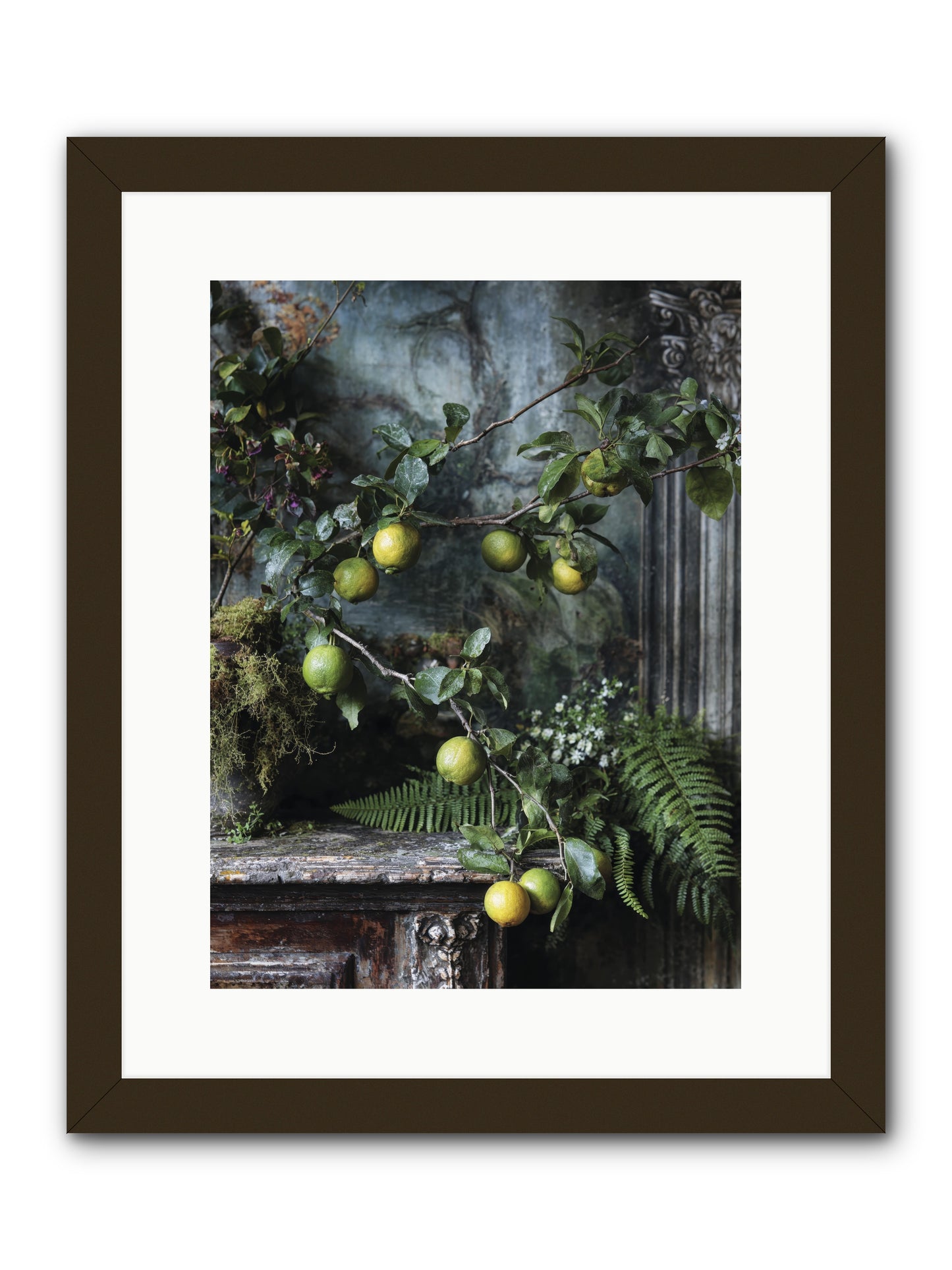 Somerset -- Framed Print - Black 12x16