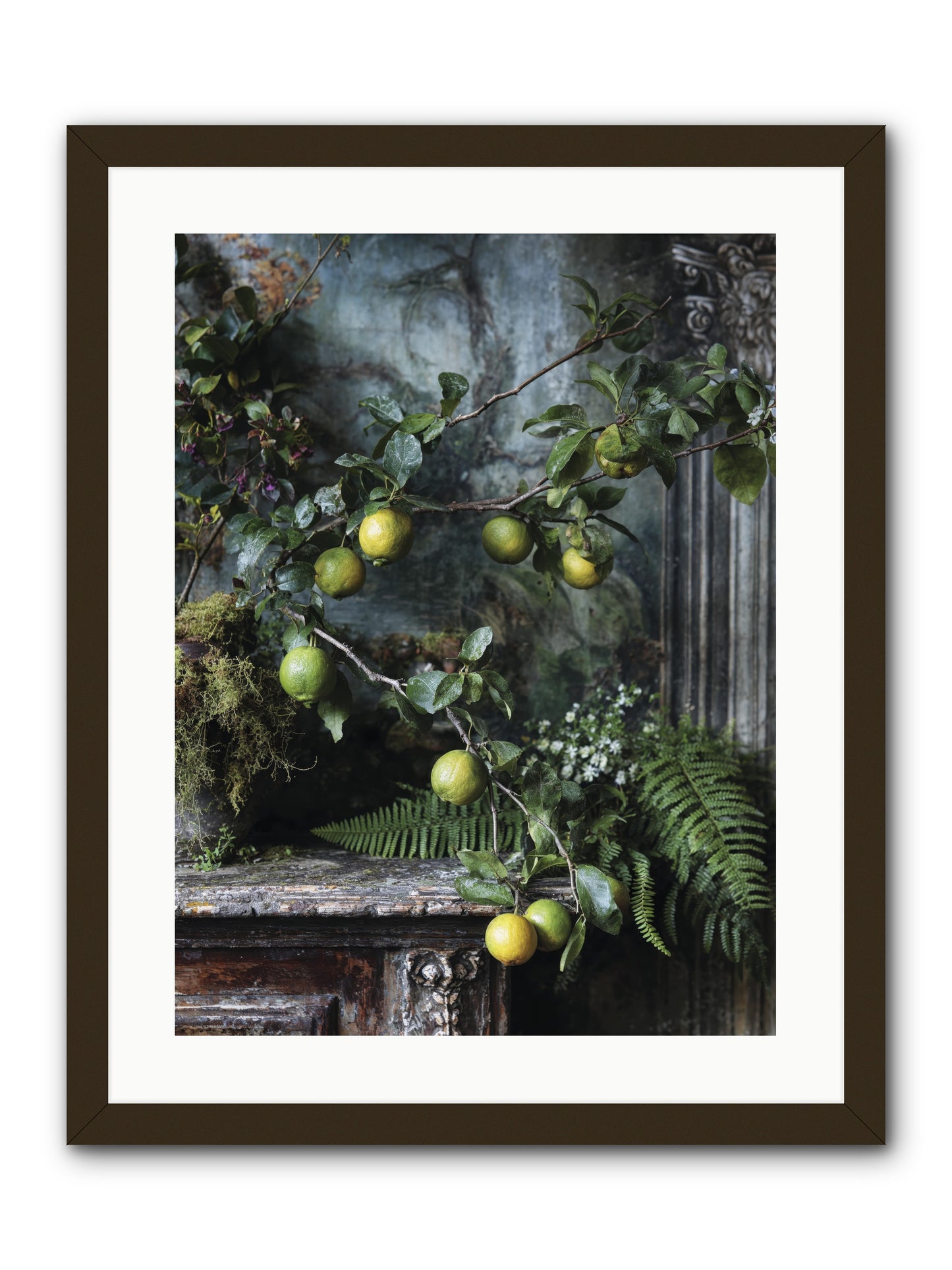Somerset -- Framed Print - Black 18x24