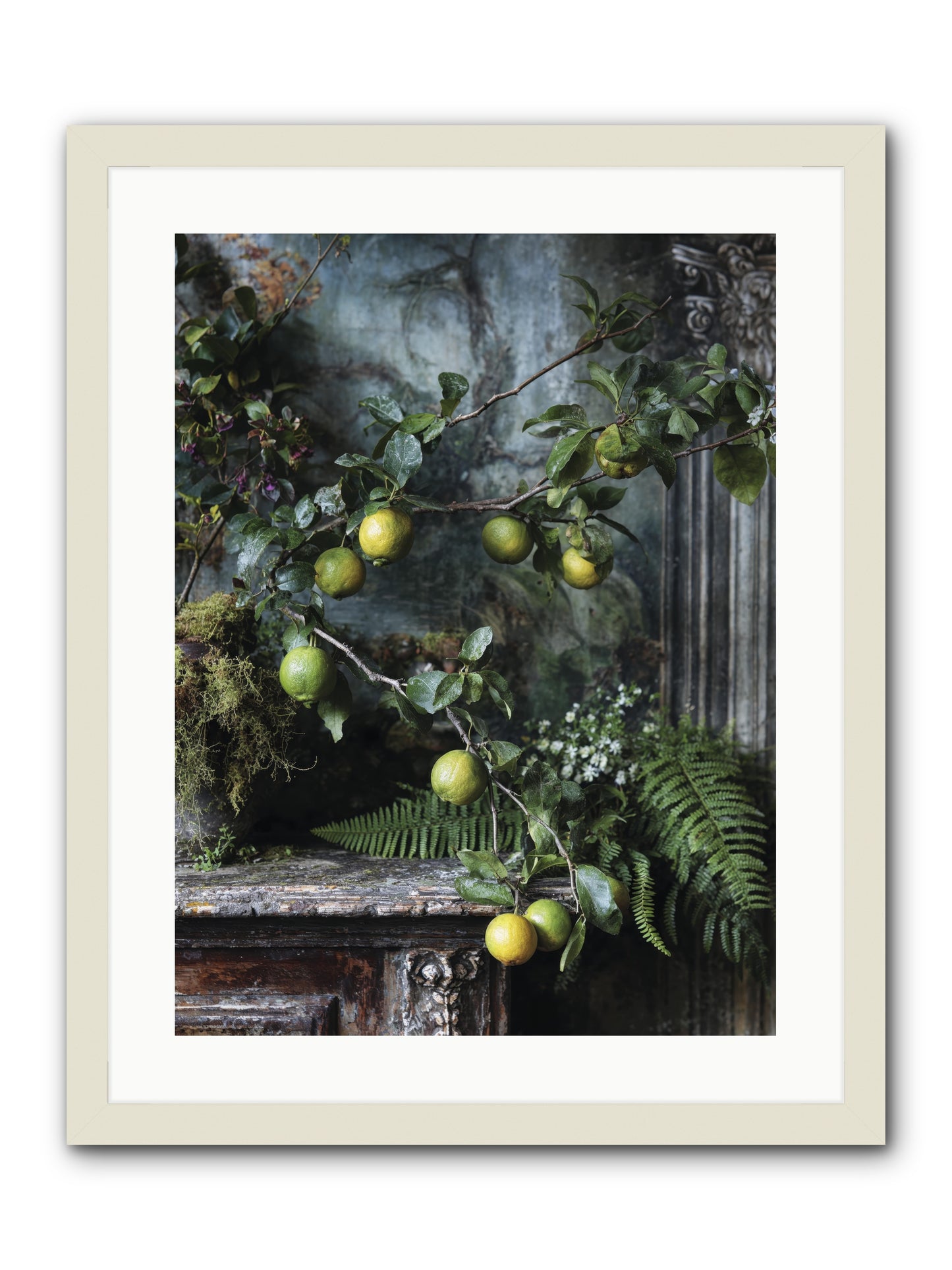Somerset -- Framed Print - White 18x24