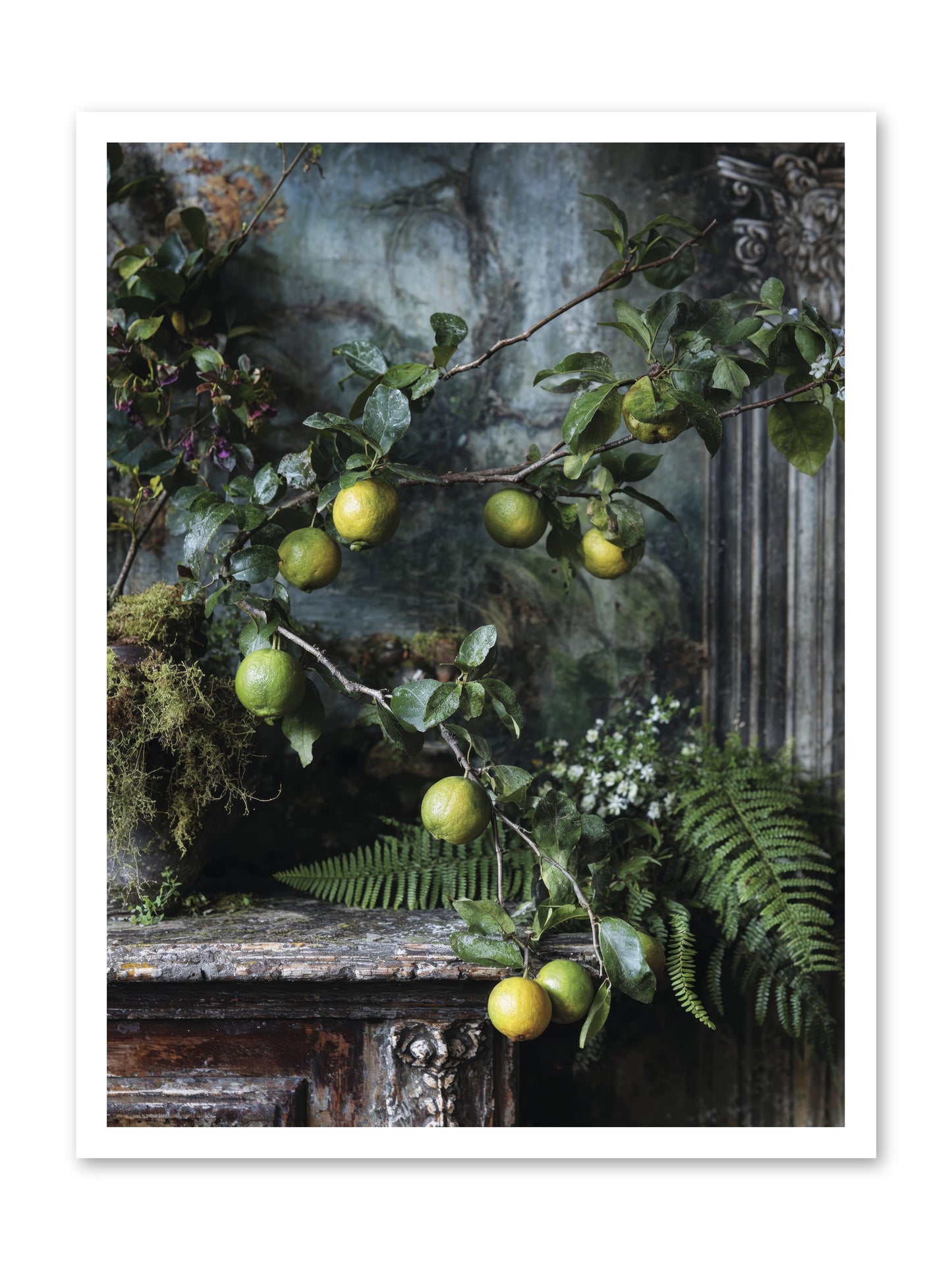 Somerset -- Loose Canvas Print 24x32