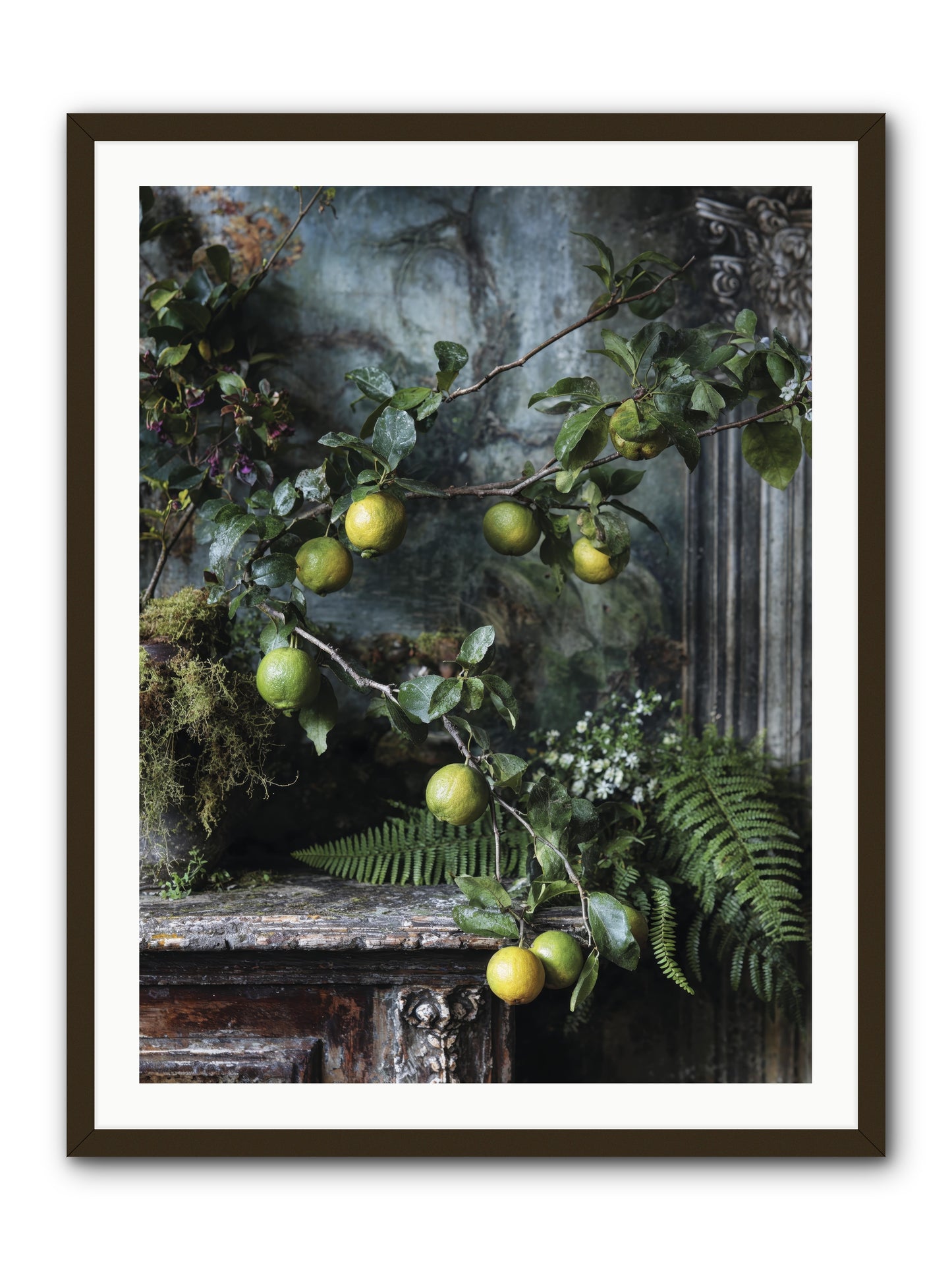 Somerset -- Framed Print - Black 30x40