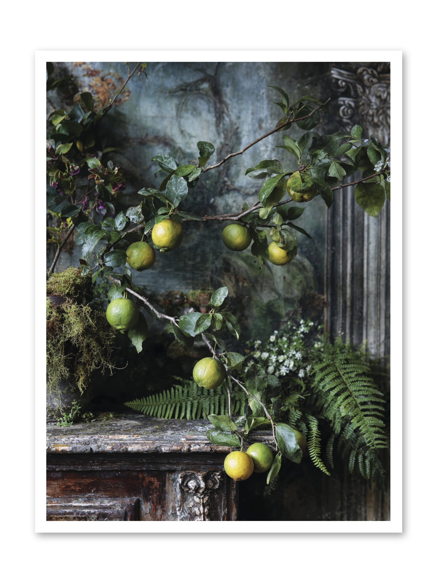 Somerset -- Paper Print 30x40