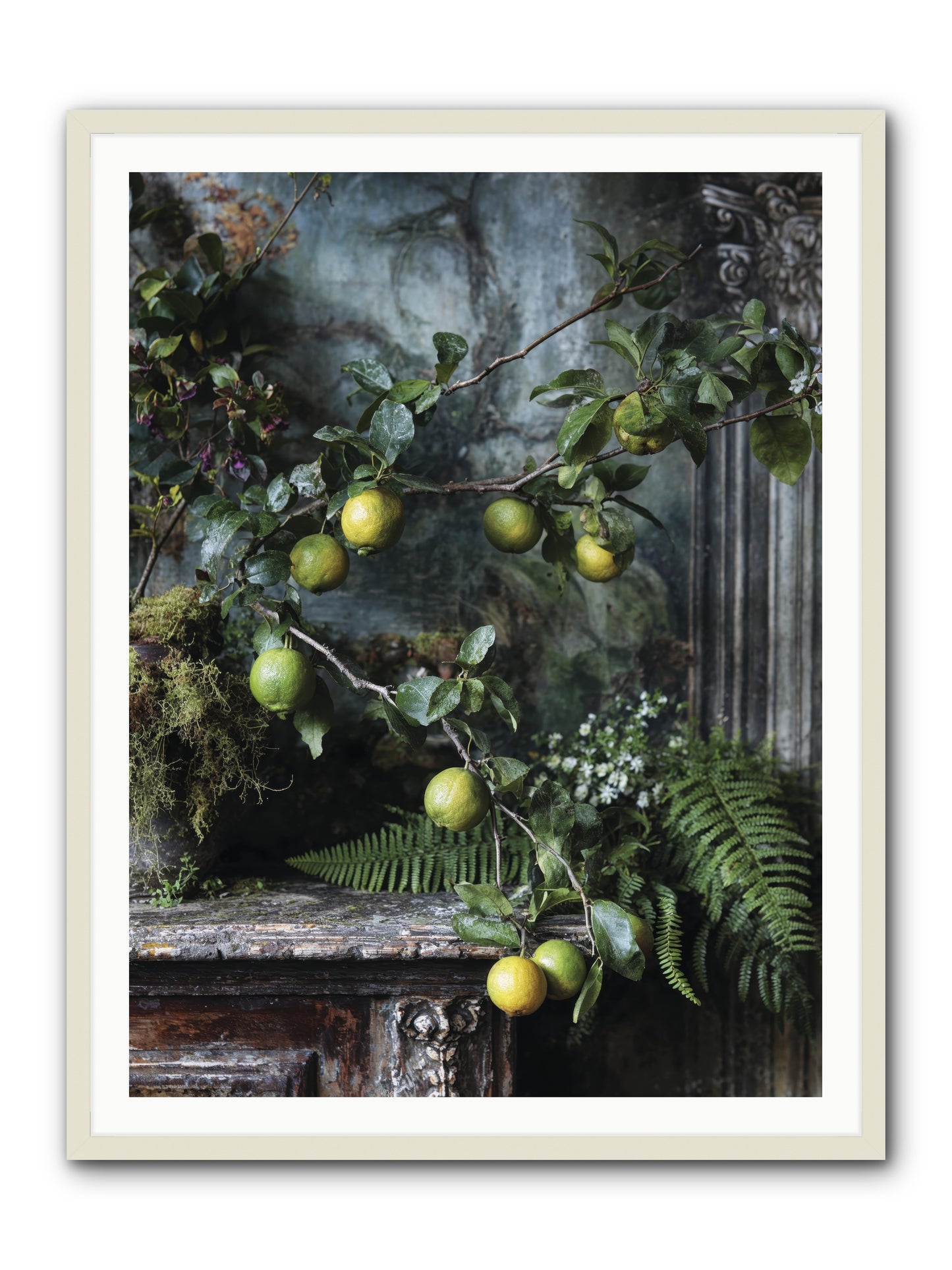 Somerset -- Framed Print - White 36x48