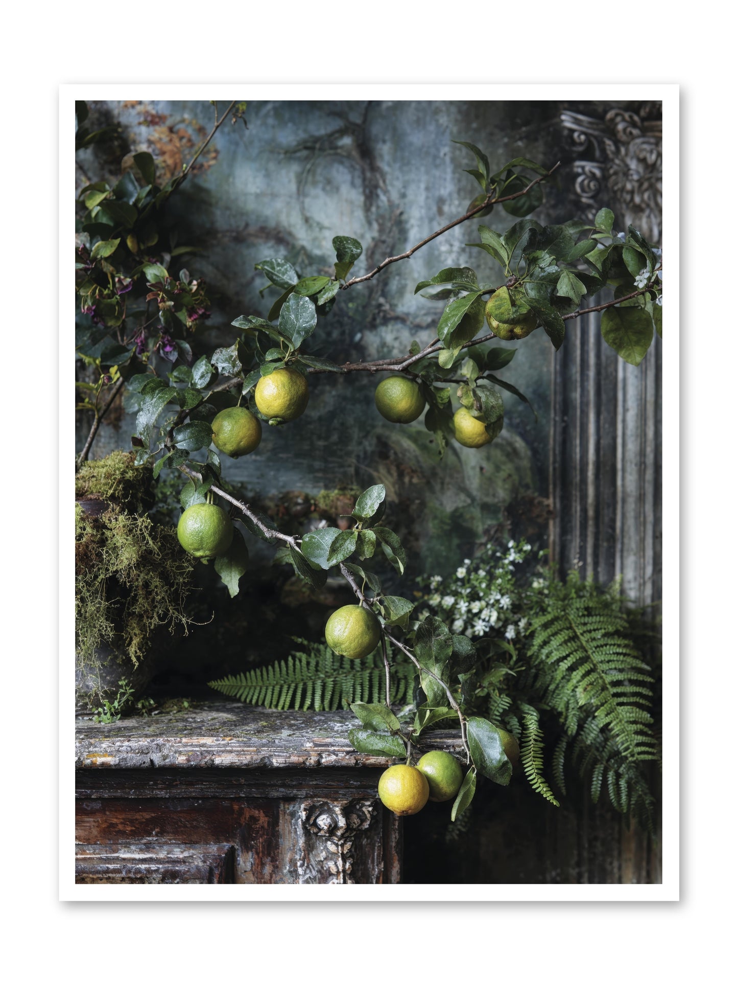 Somerset -- Loose Canvas Print 36x48