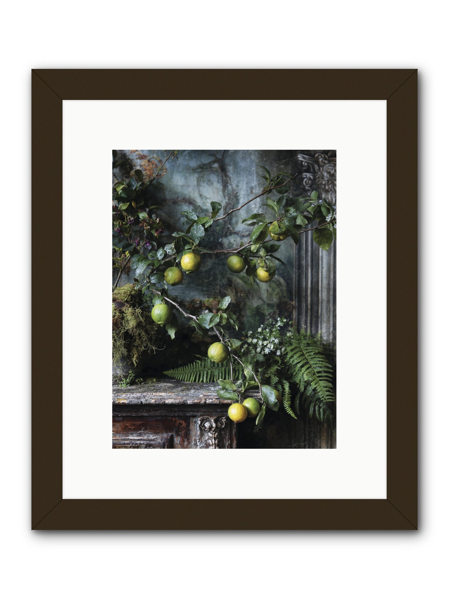 Somerset -- Framed Print - Black 9x12