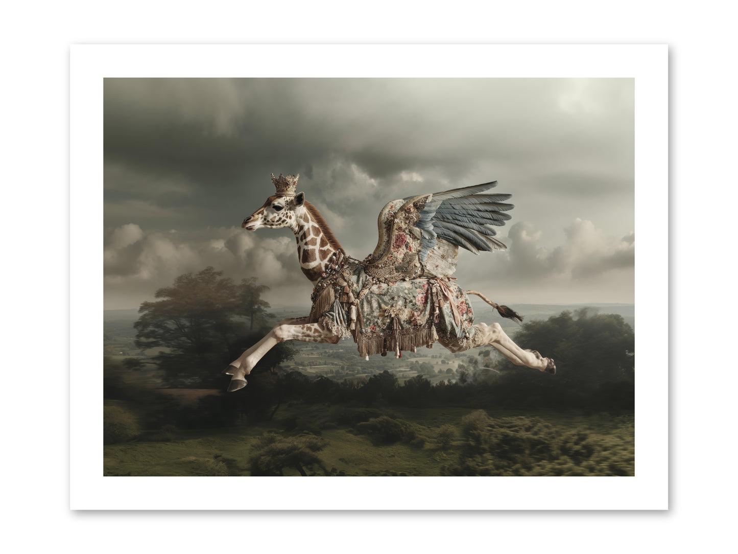 Song for a Golden Field -- Loose Canvas Print 16x12
