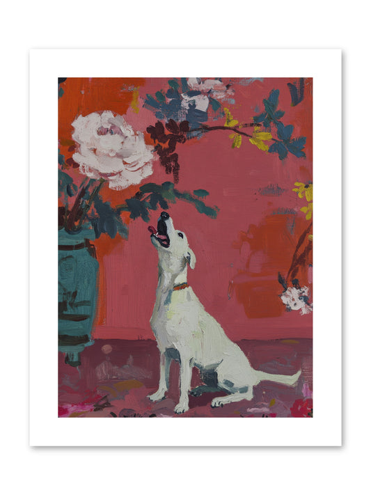 Stella -- Paper Print 9x12