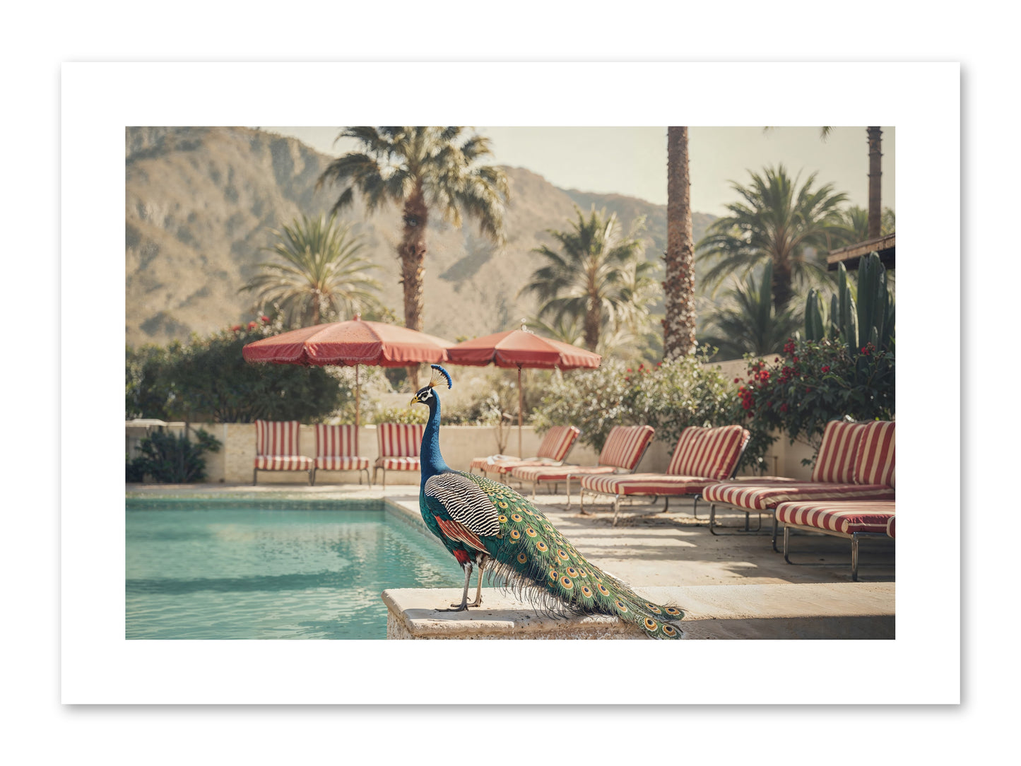 Summer In The Riviera -- Loose Canvas Print 12x8