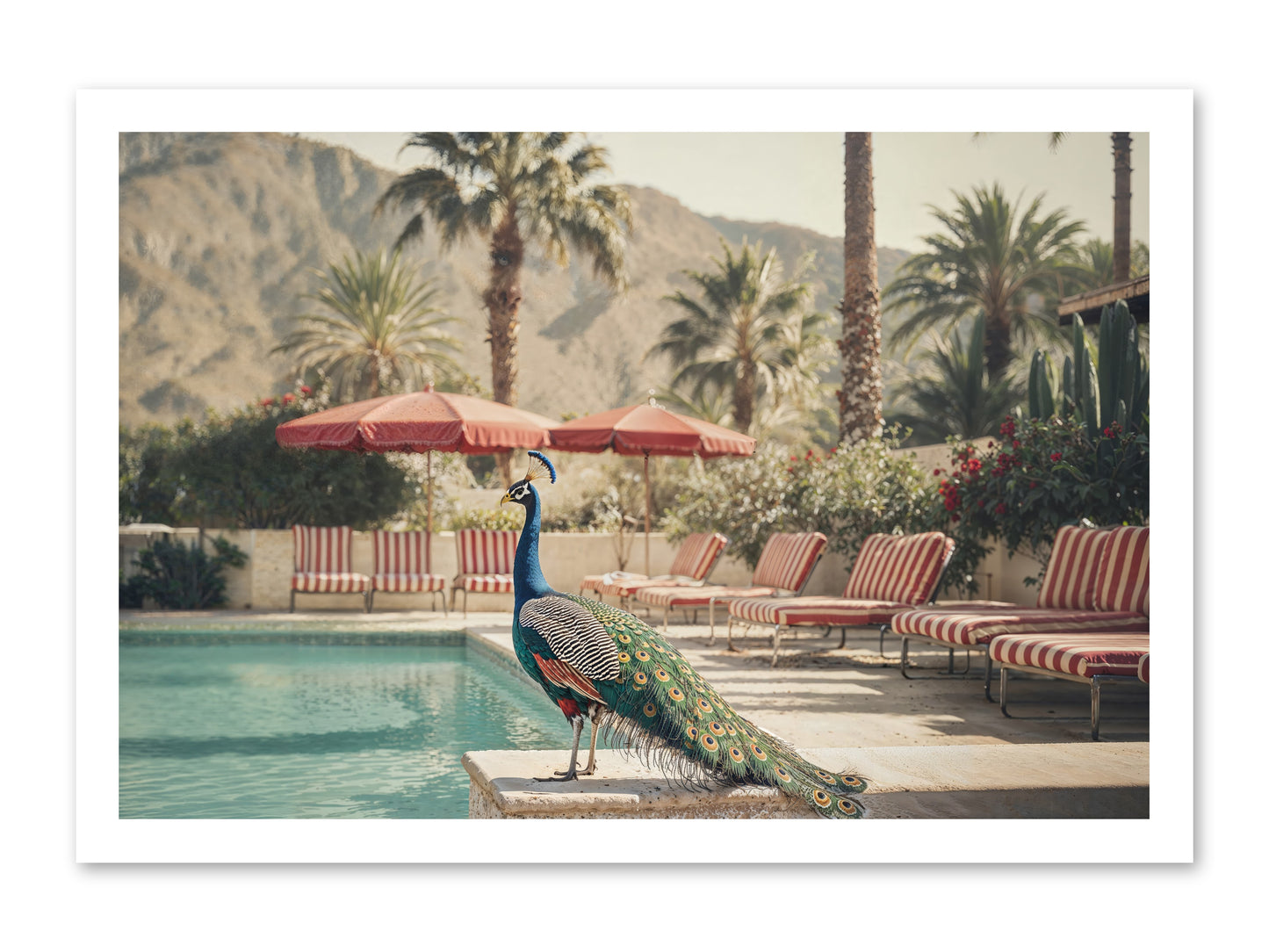 Summer In The Riviera -- Loose Canvas Print 24x16