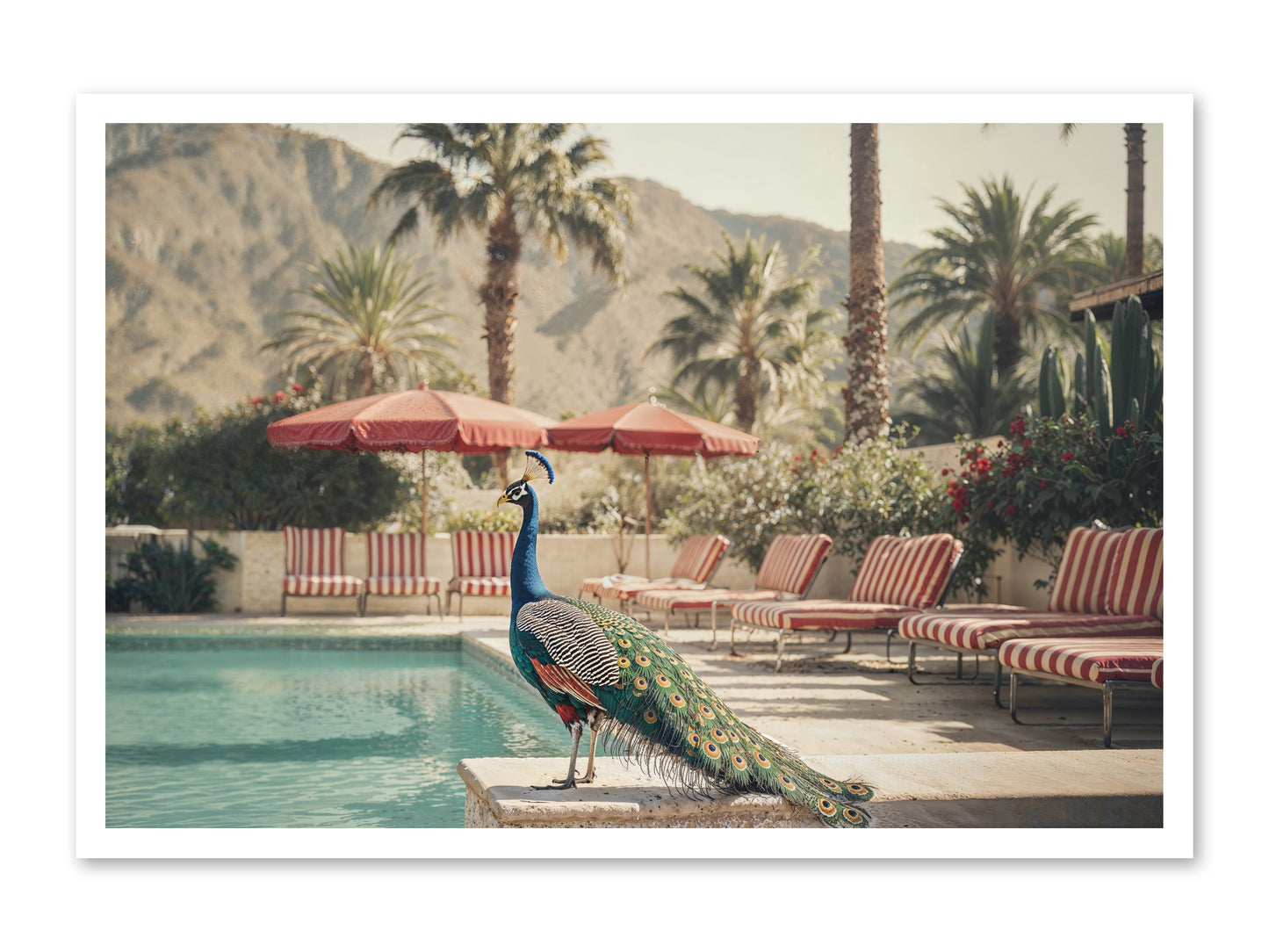 Summer In The Riviera -- Paper Print 36x24