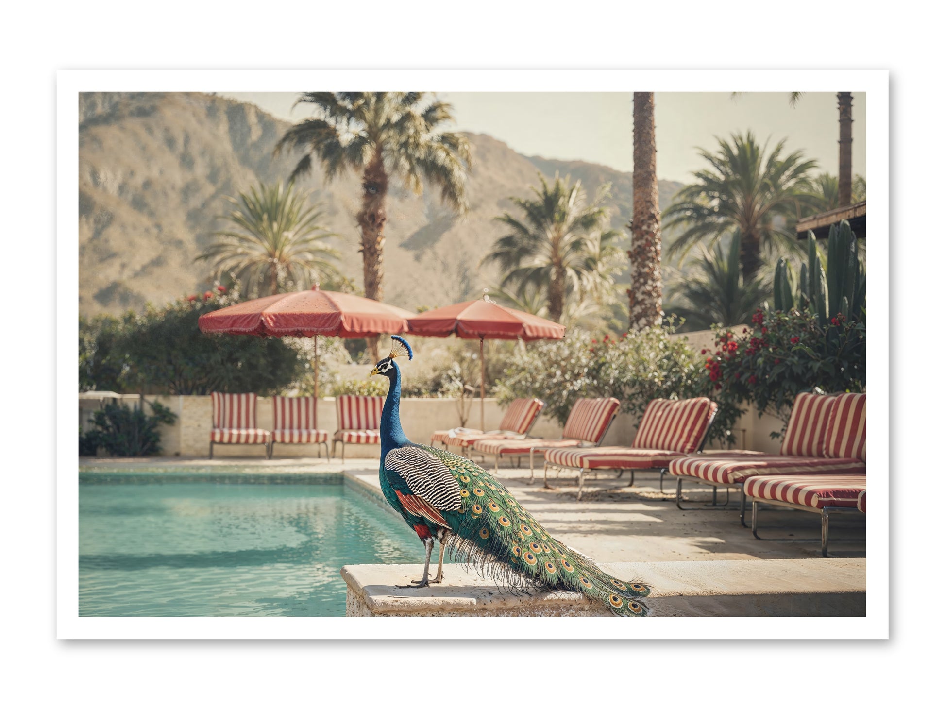 Summer In The Riviera -- Paper Print 36x24