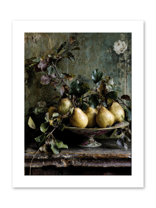 Summer's grand gesture -- Paper Print 9x12