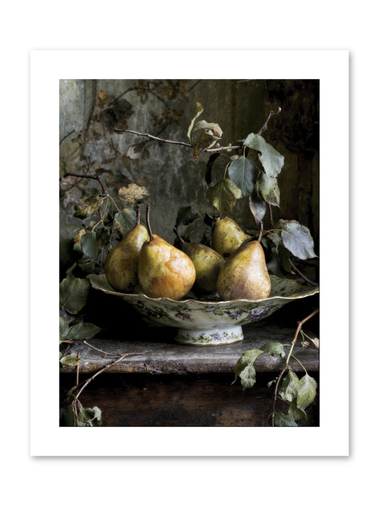 Sunshine's autobiography -- Paper Print 9x12