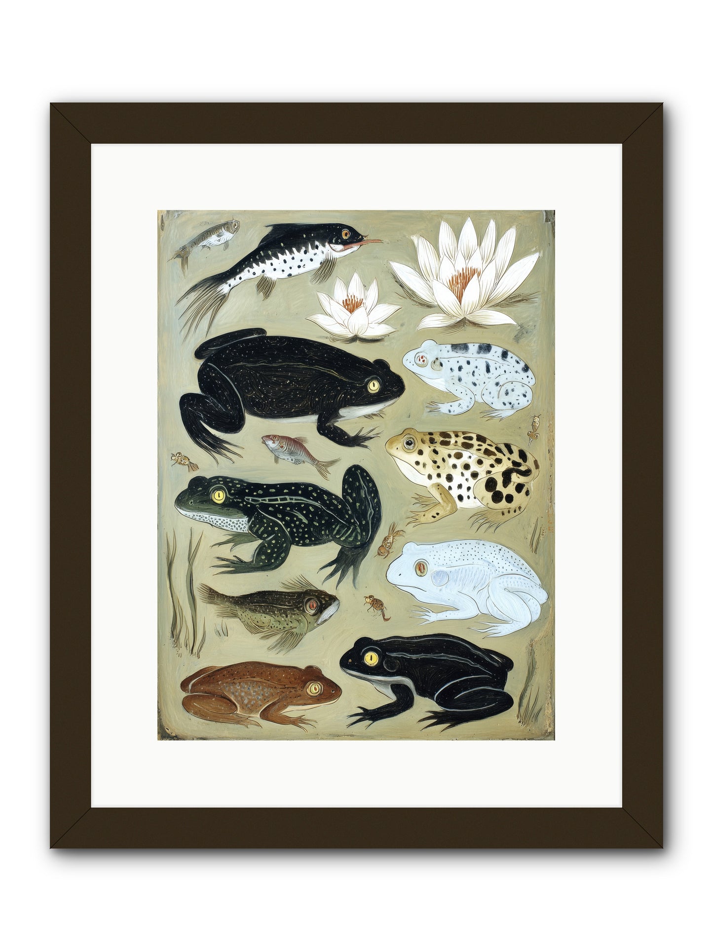 Surface Stories -- Framed Print - Black 12x16