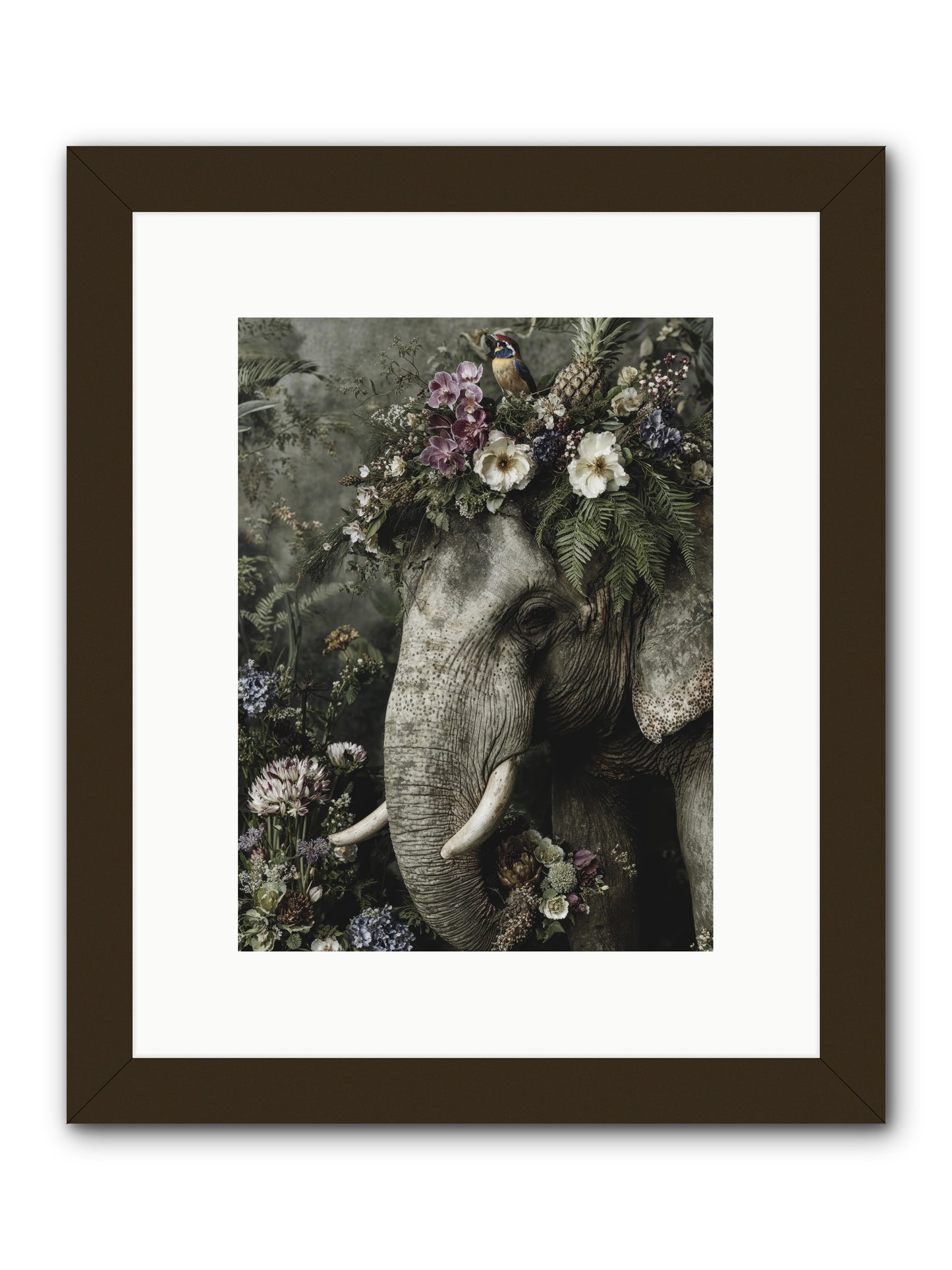 The Celestial Portrait -- Framed Print - Black 9x12