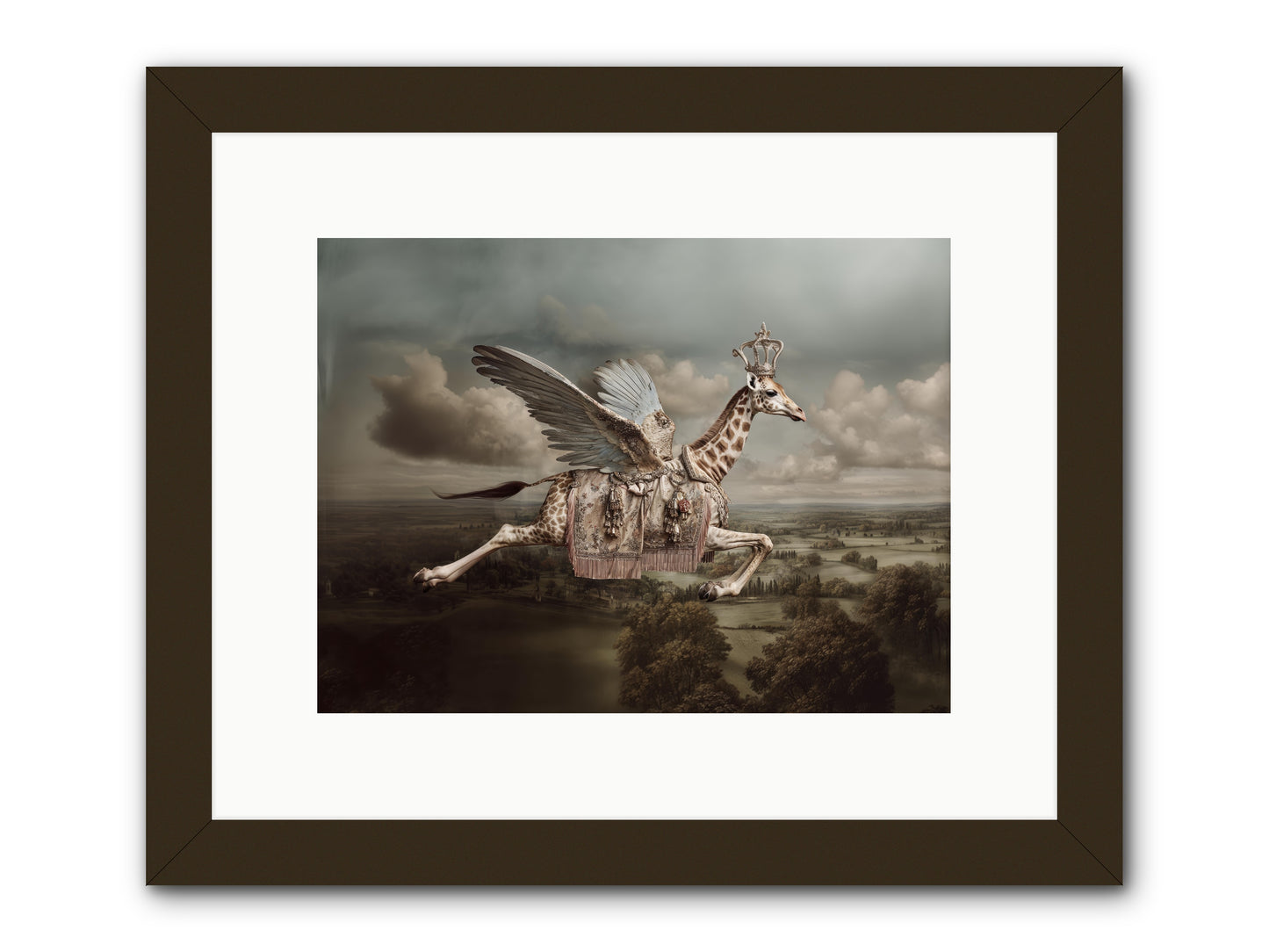 The Cloud Museum -- Framed Print - Black 12x9