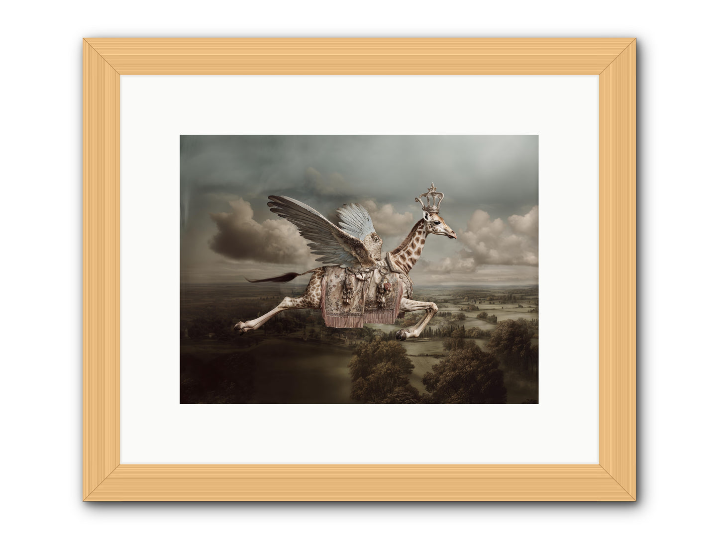 The Cloud Museum -- Framed Print - Natural 12x9