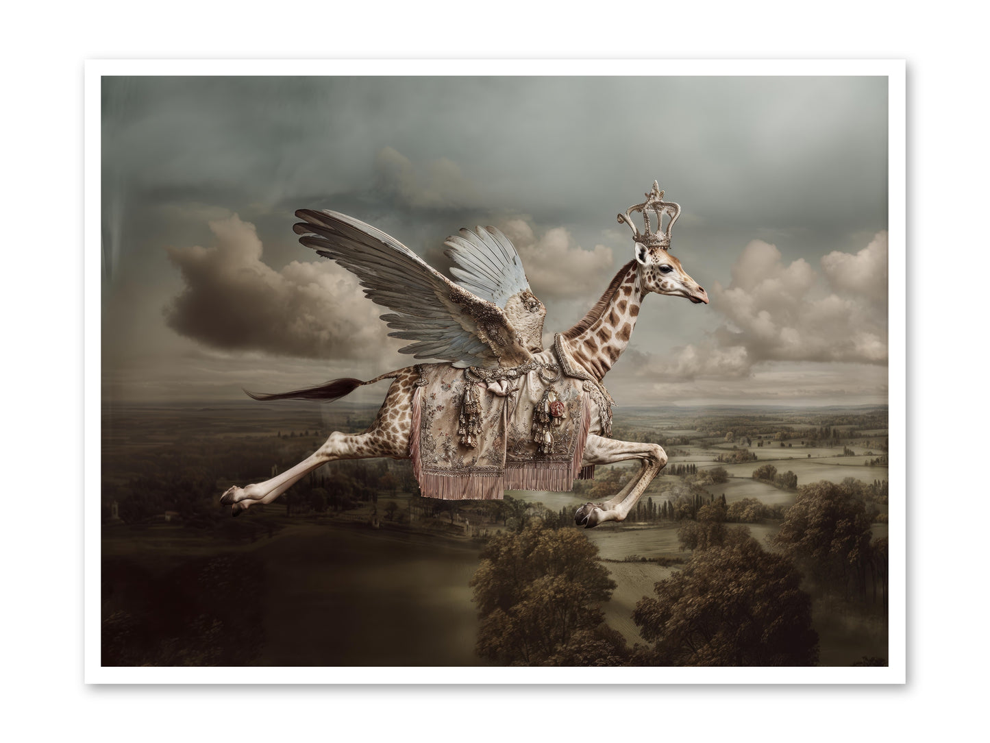 The Cloud Museum -- Paper Print 48x36