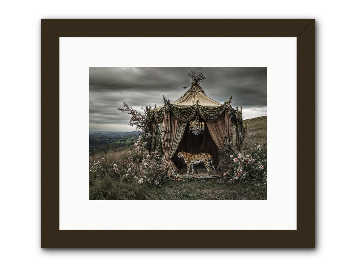 The Still Meadow -- Framed Print - Black 12x9