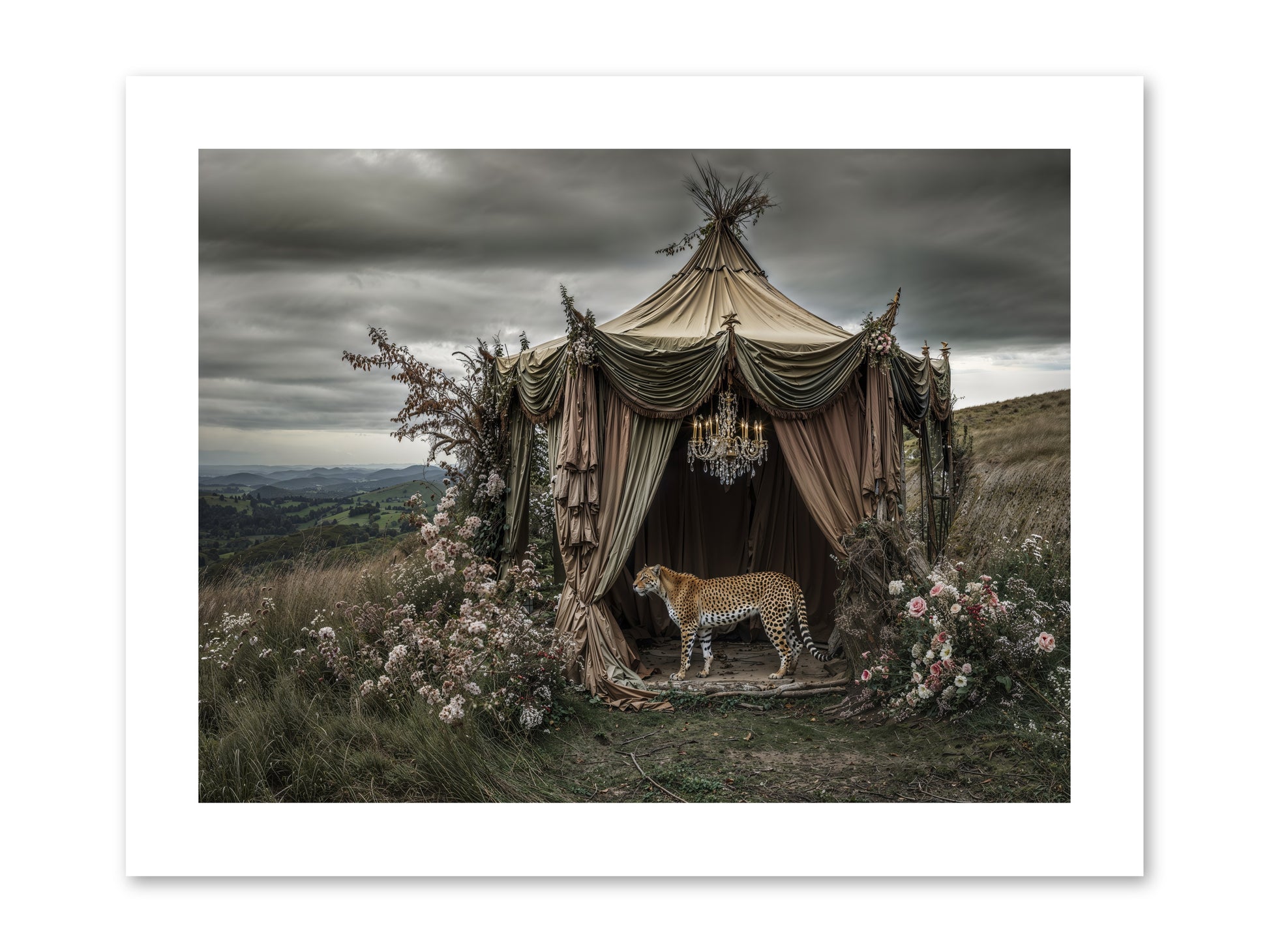 The Still Meadow -- Paper Print 12x9