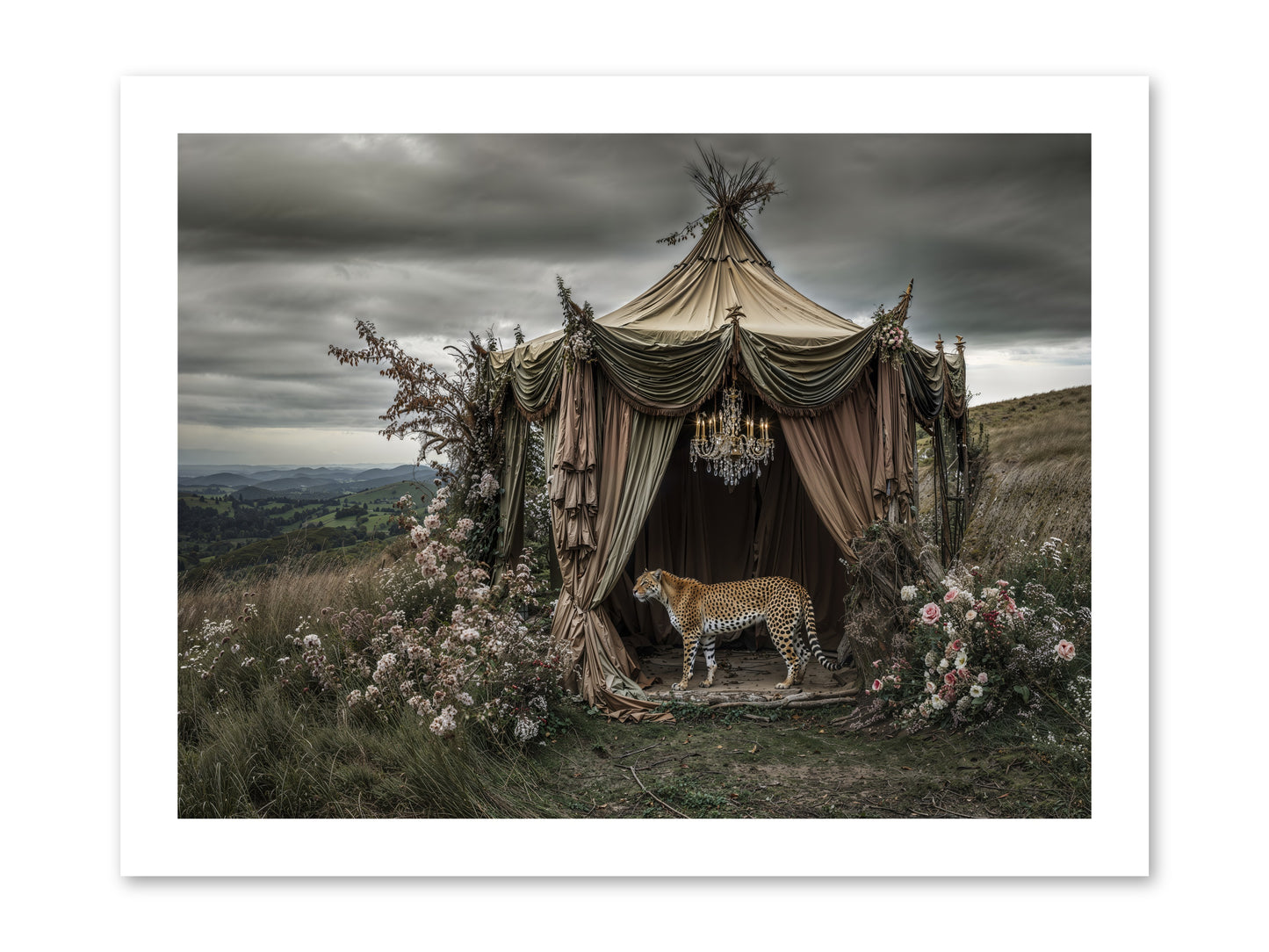 The Still Meadow -- Loose Canvas Print 16x12