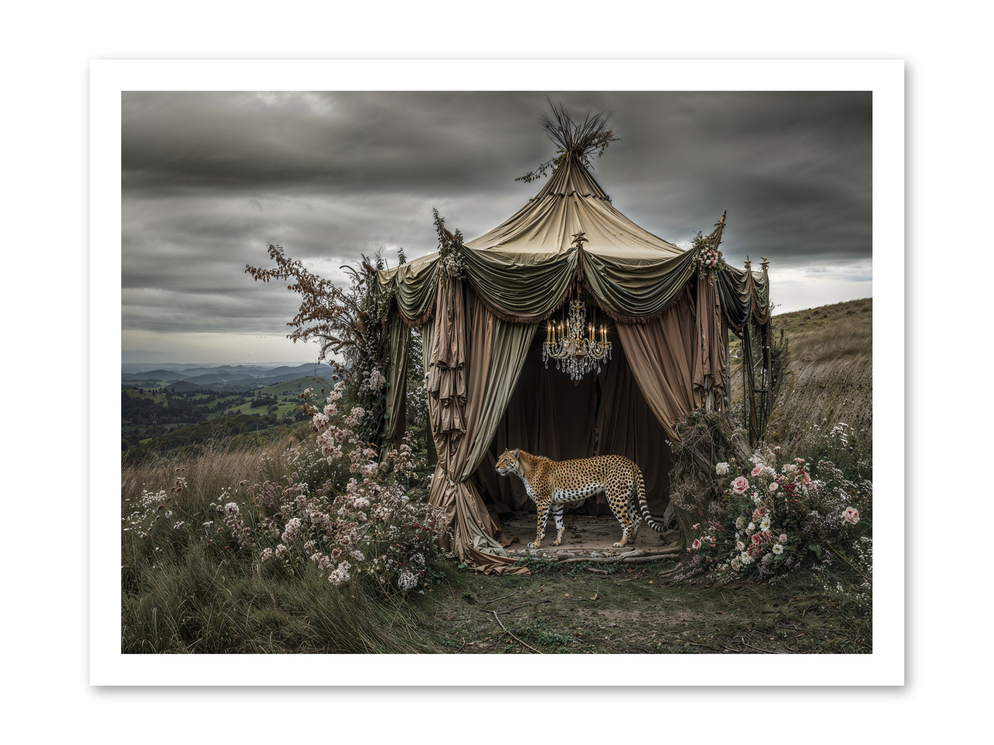 The Still Meadow -- Paper Print 24x18