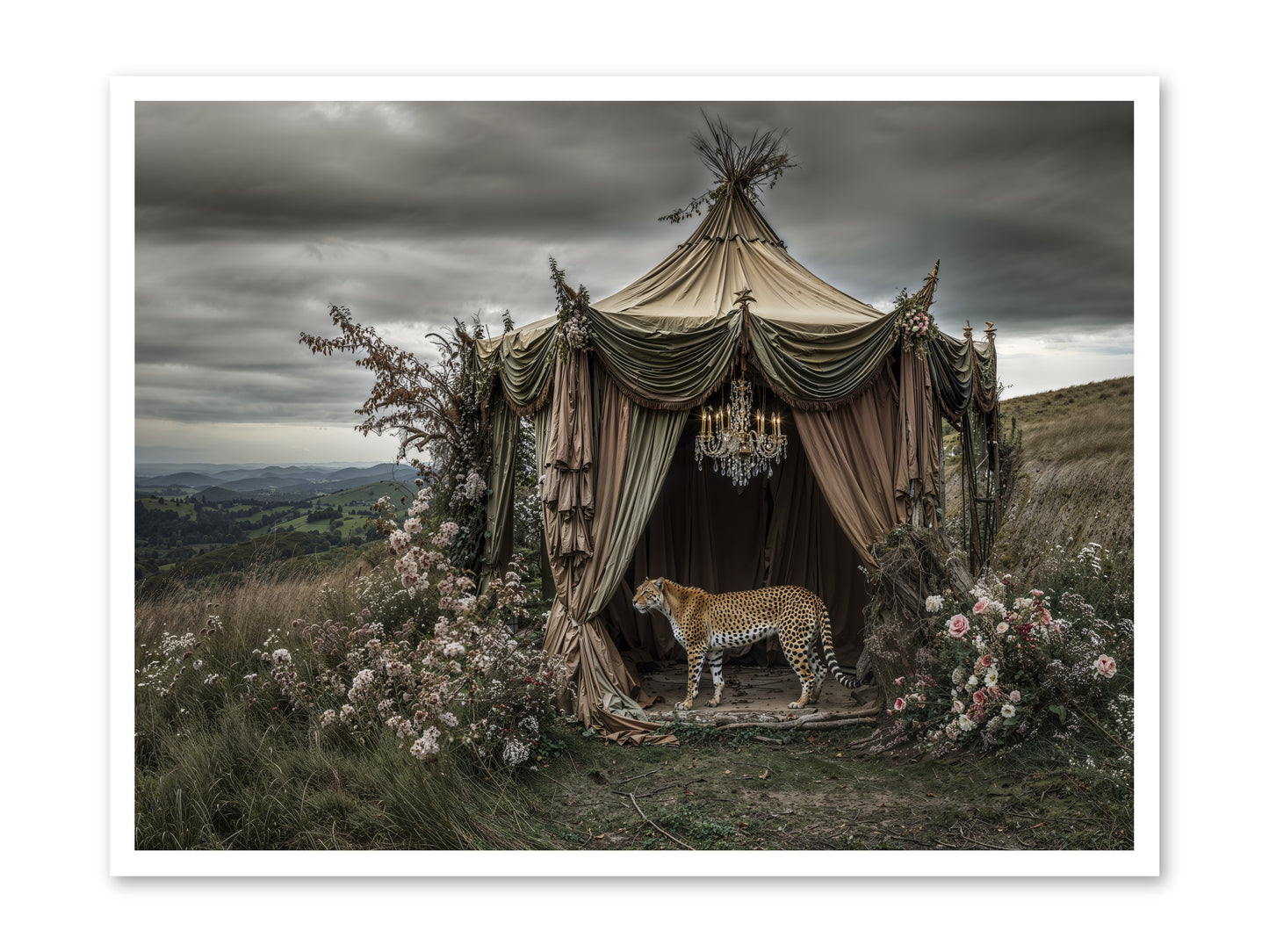 The Still Meadow -- Paper Print 40x30