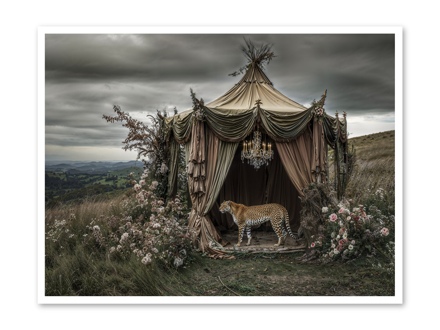 The Still Meadow -- Paper Print 48x36