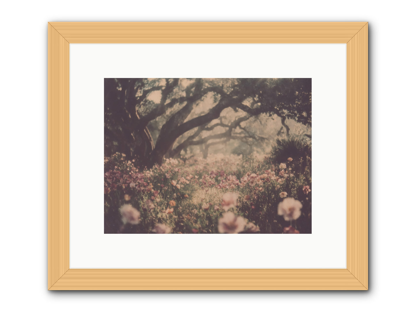 The Sweet Detour -- Framed Print - Natural 12x9