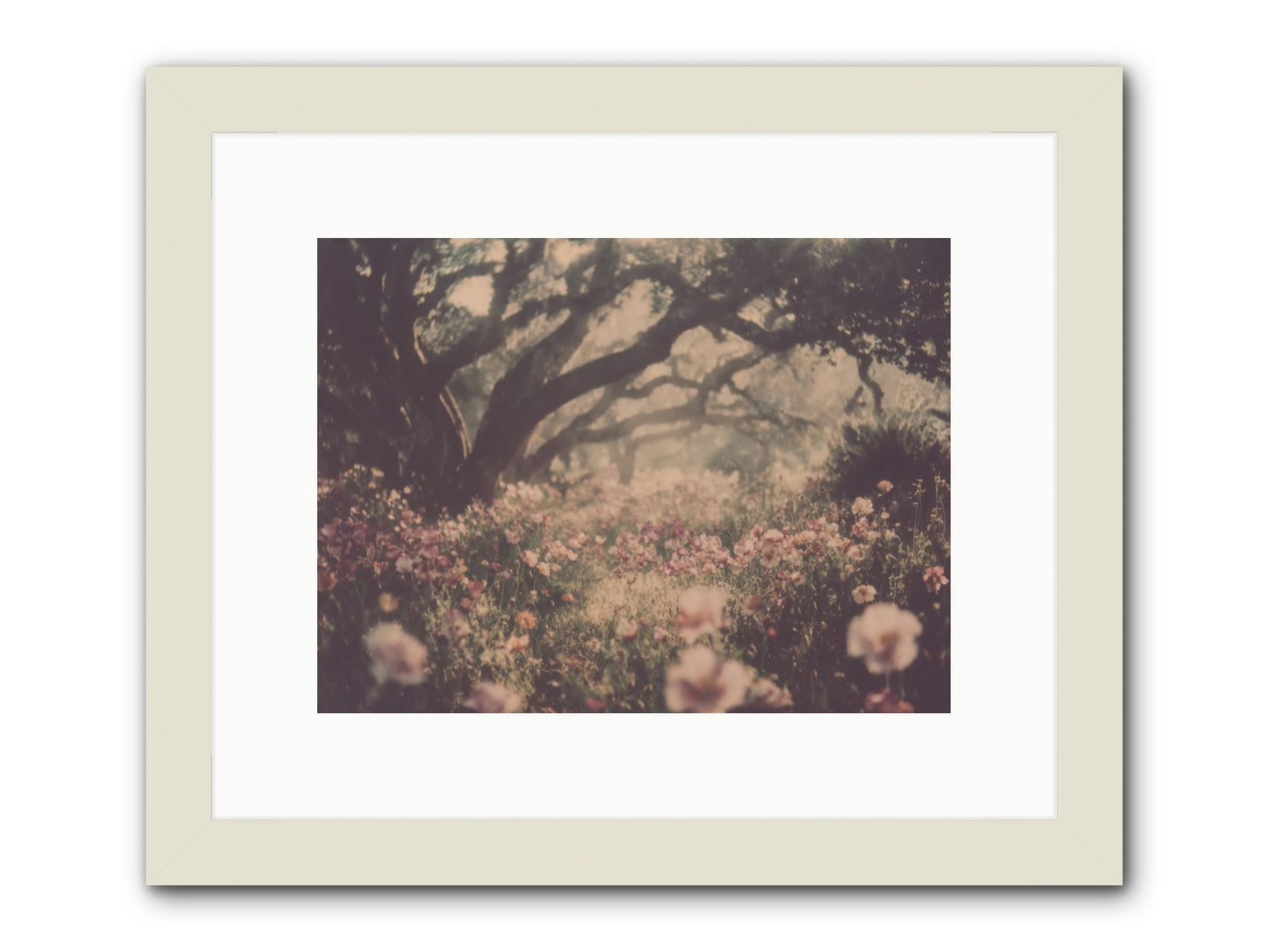 The Sweet Detour -- Framed Print - White 12x9