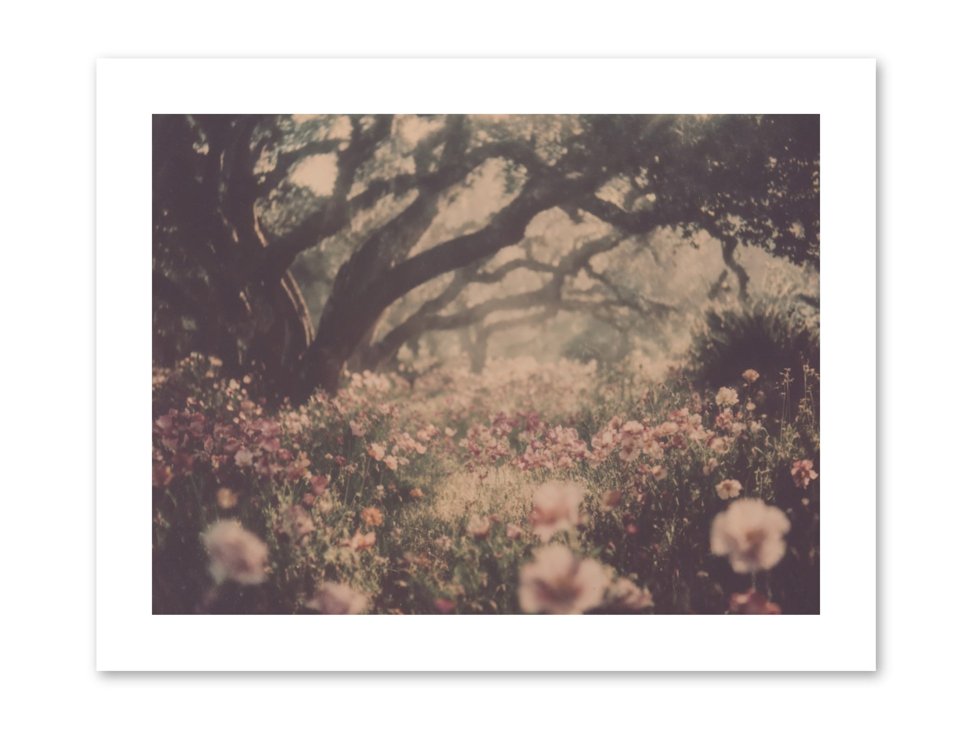 The Sweet Detour -- Paper Print 12x9
