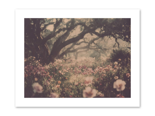 The Sweet Detour -- Paper Print 12x9