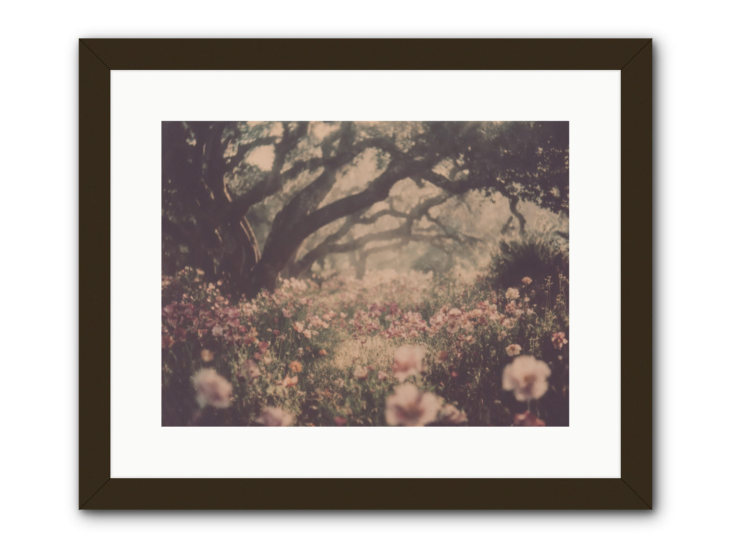 The Sweet Detour -- Framed Print - Black 16x12