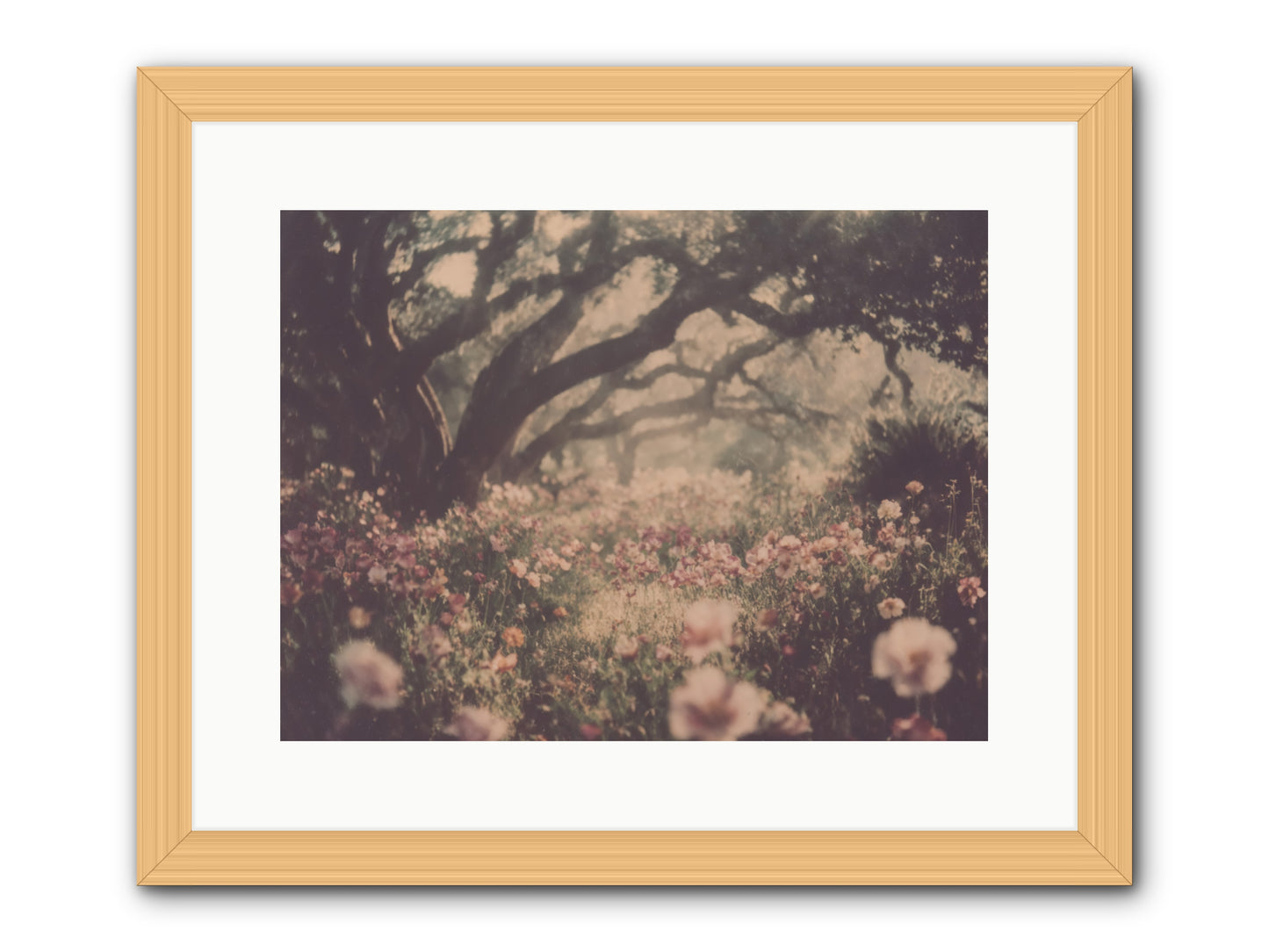 The Sweet Detour -- Framed Print - Natural 16x12